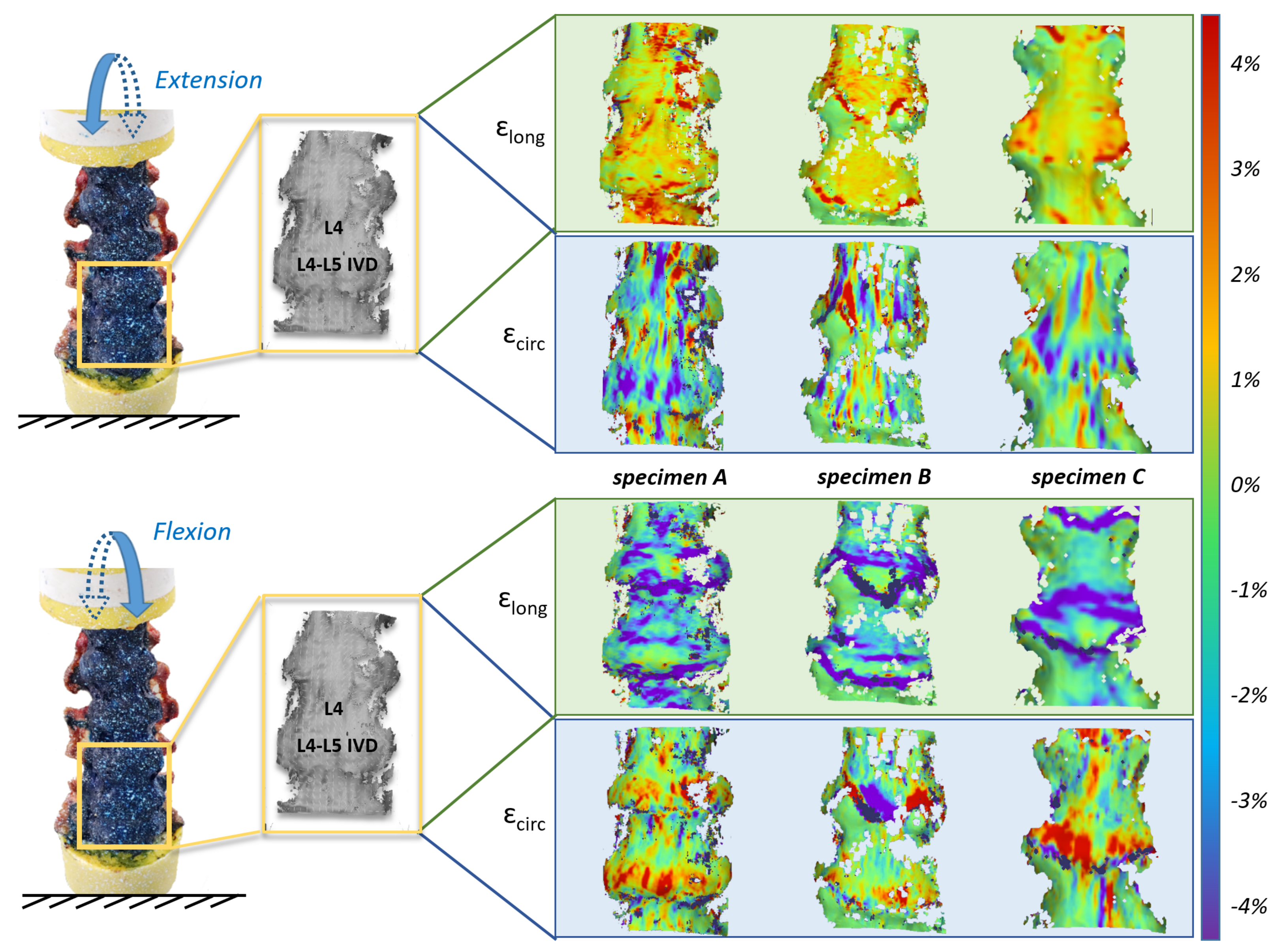 Materials 13 00384 g003 Materials 13 00384 g003