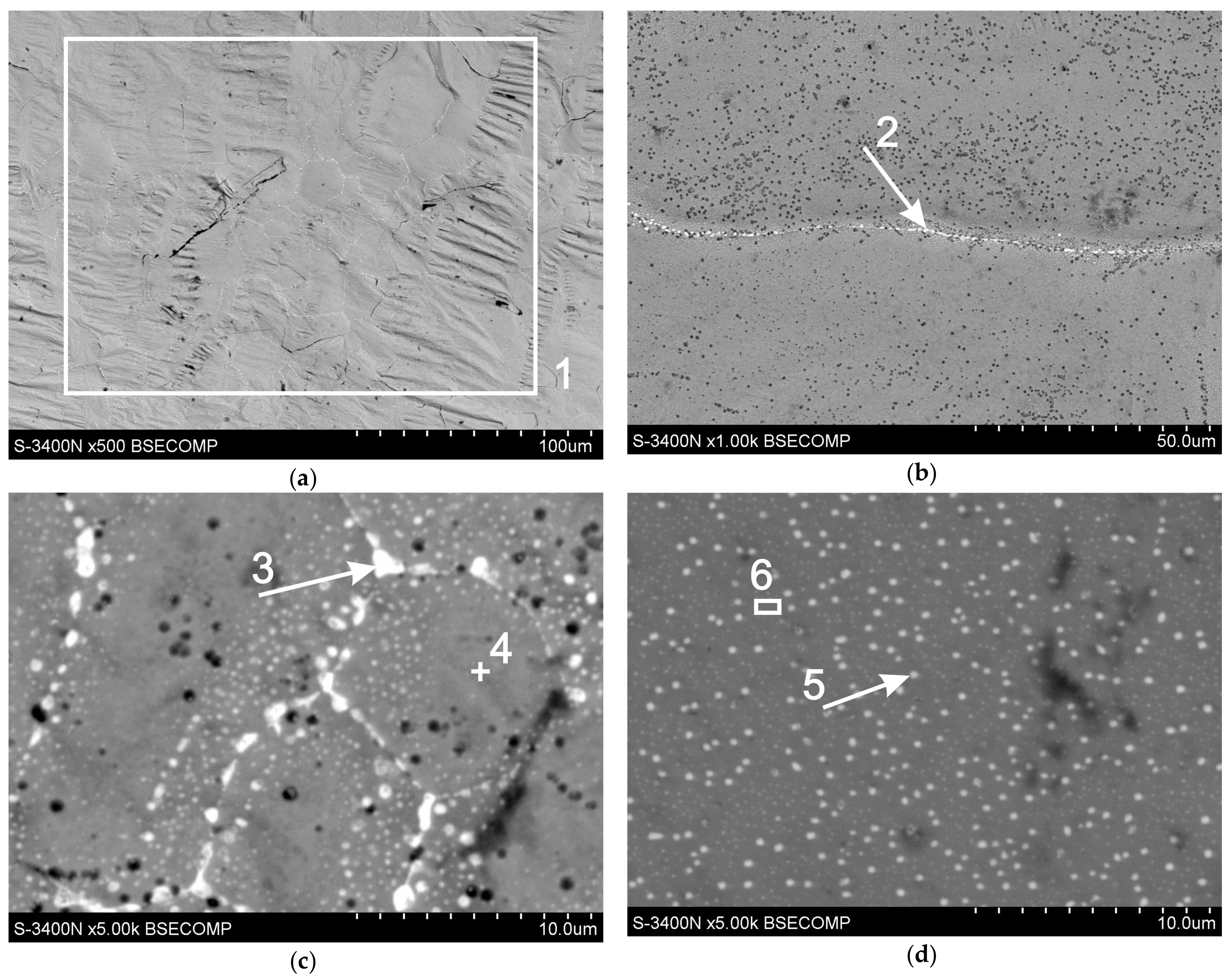 Materials 13 00385 g008