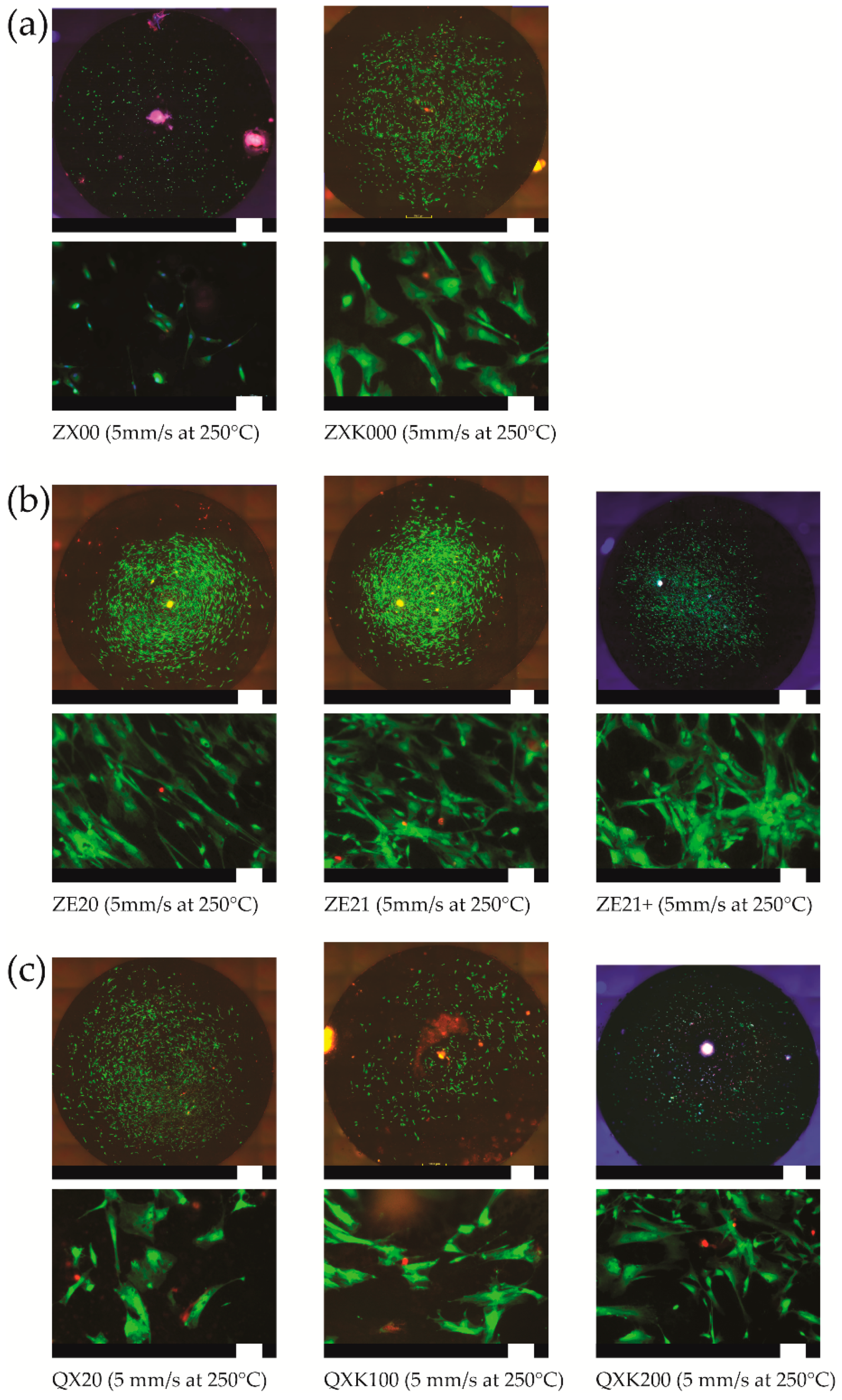 Materials 13 00391 g008 Materials 13 00391 g008