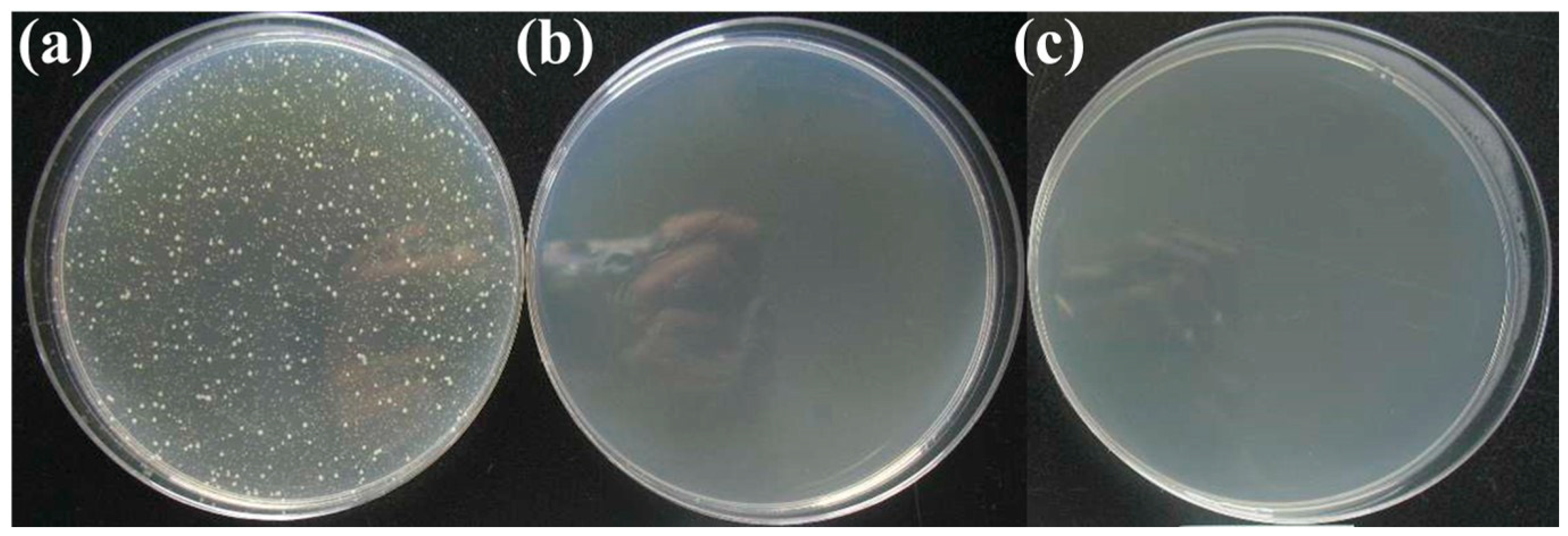 Materials 13 00403 g003 Materials 13 00403 g003