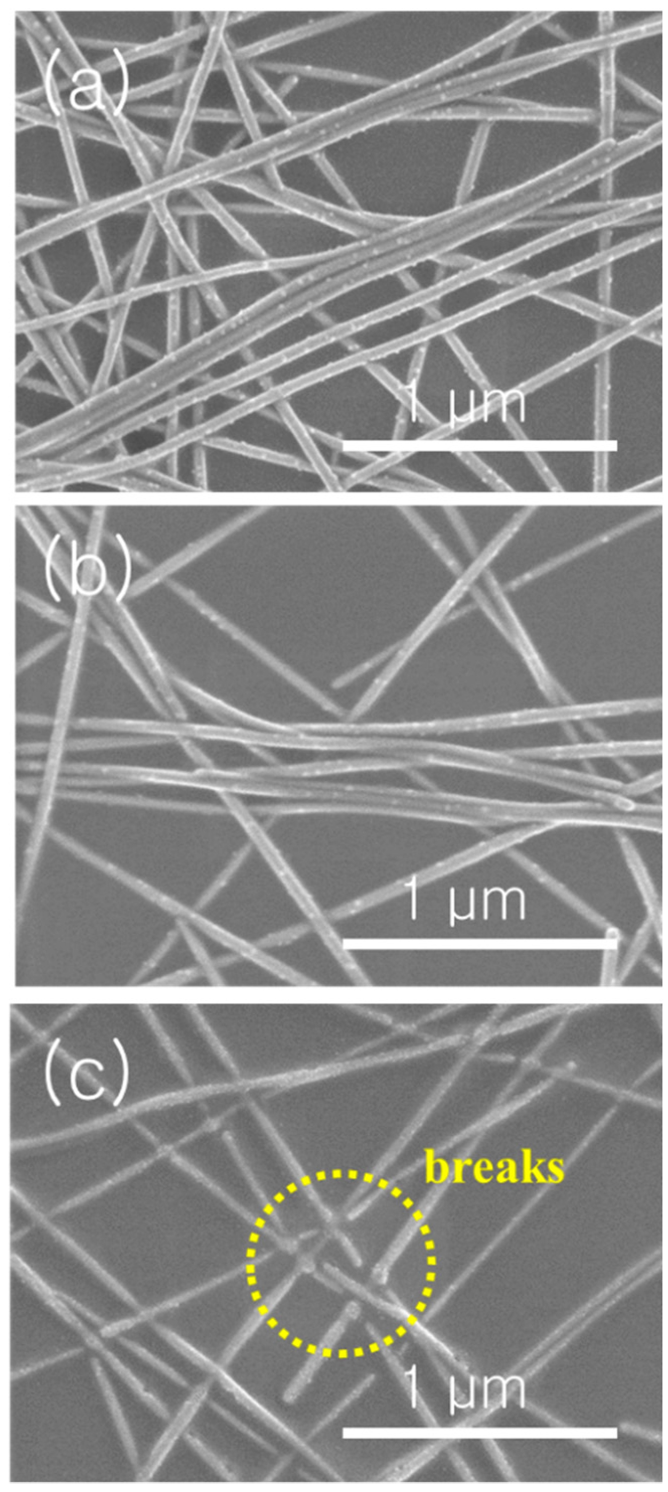 Materials 13 00404 g004