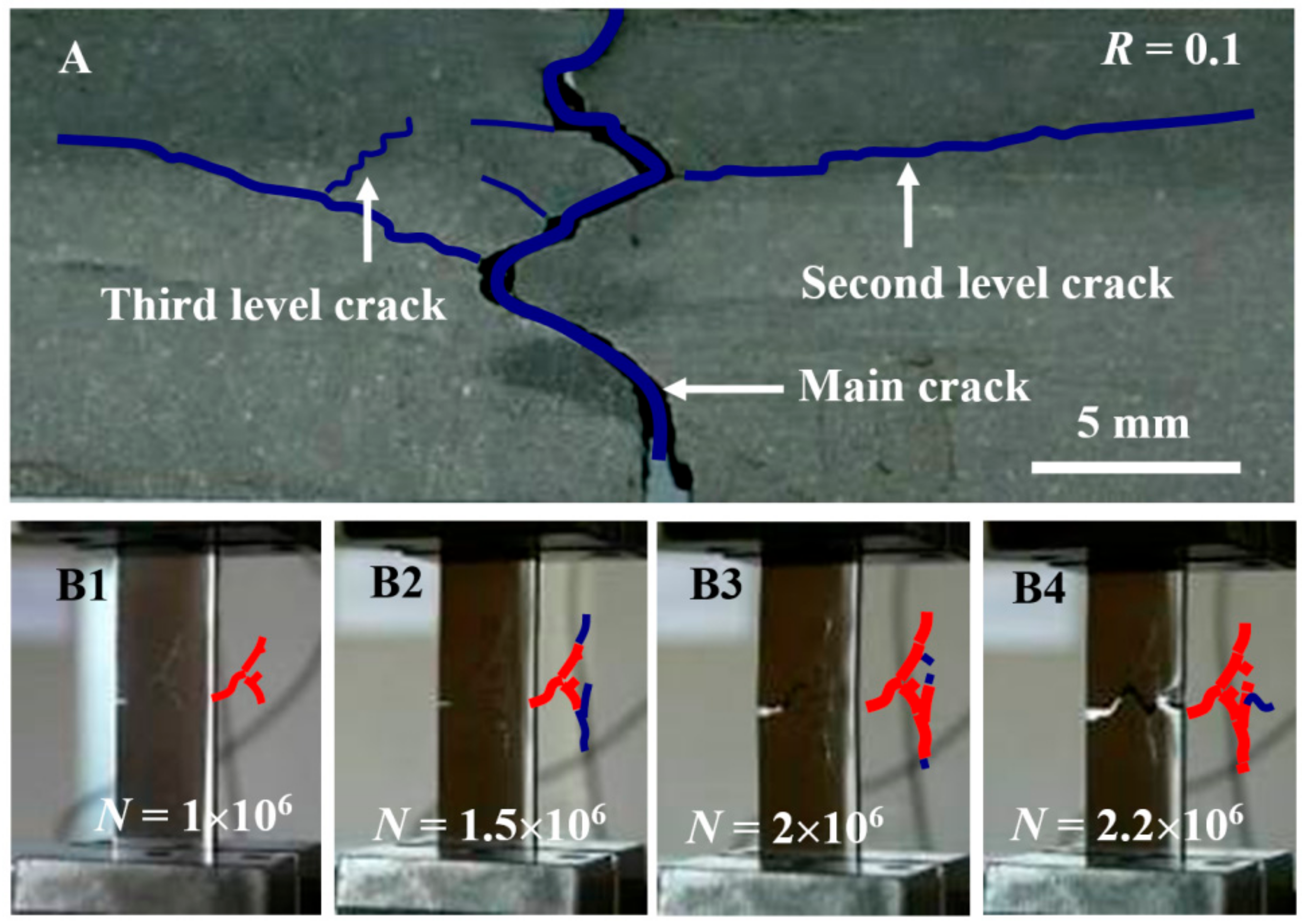 Materials 13 00406 g006 Materials 13 00406 g006