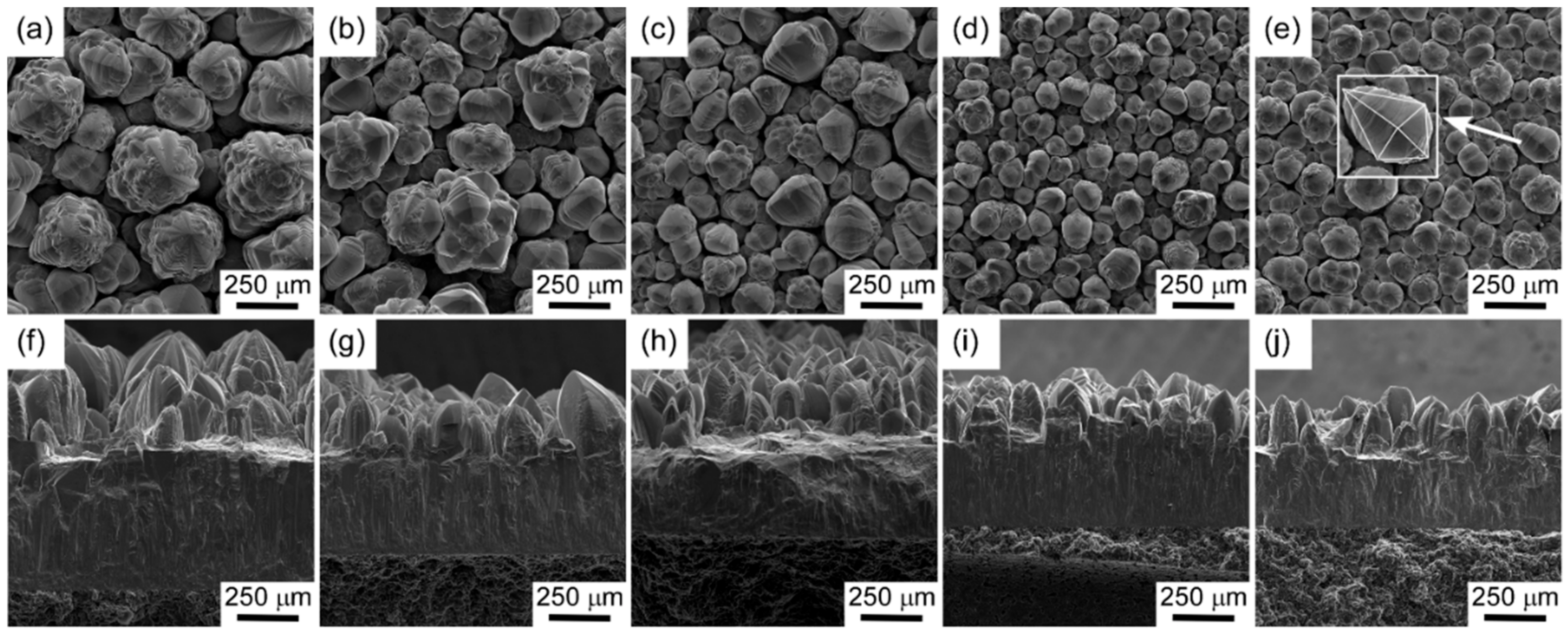 Materials 13 00410 g003 Materials 13 00410 g003