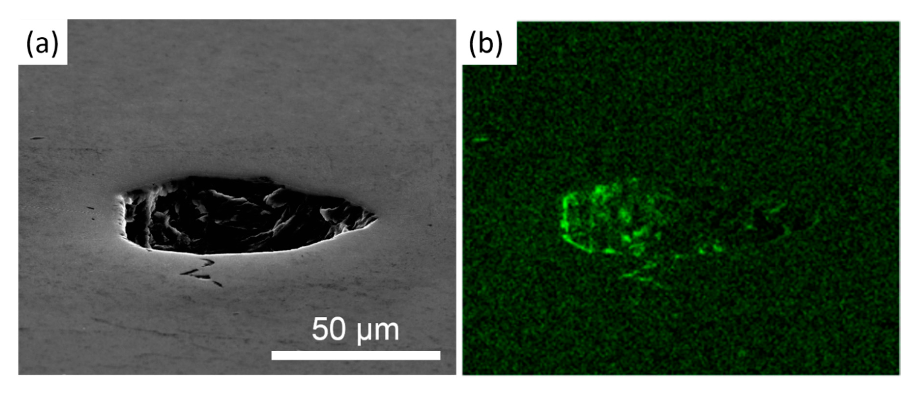 Materials 13 00414 g007