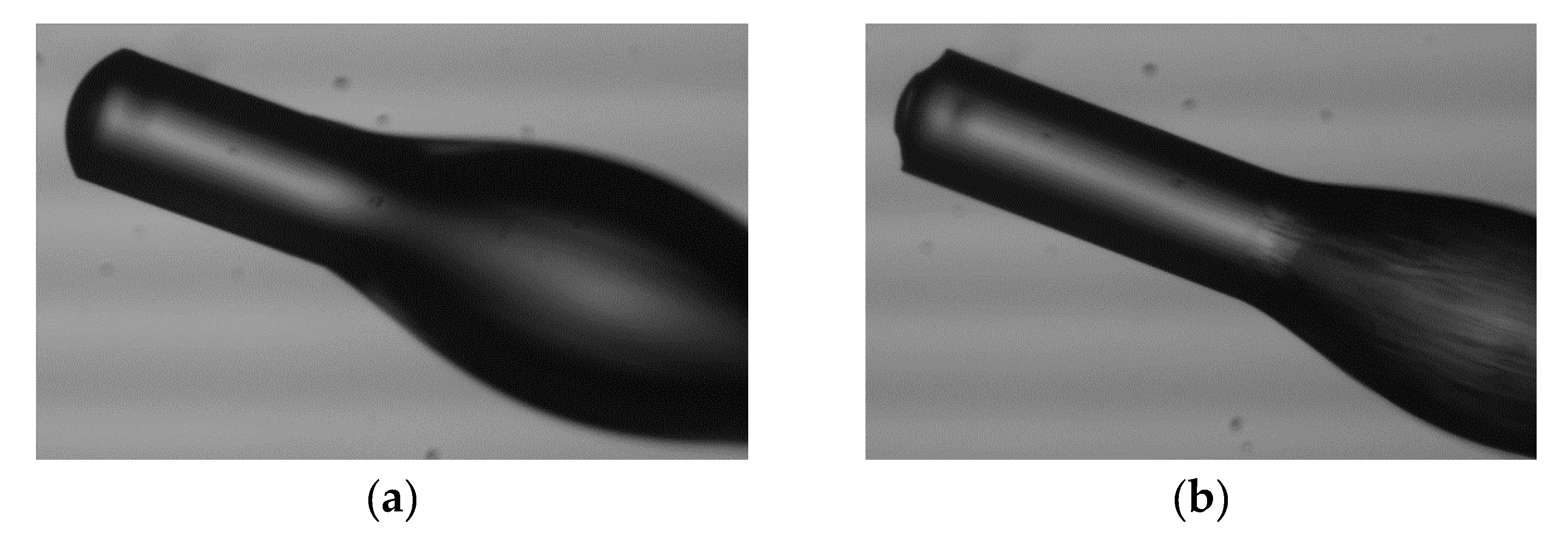 Materials 13 00416 g009