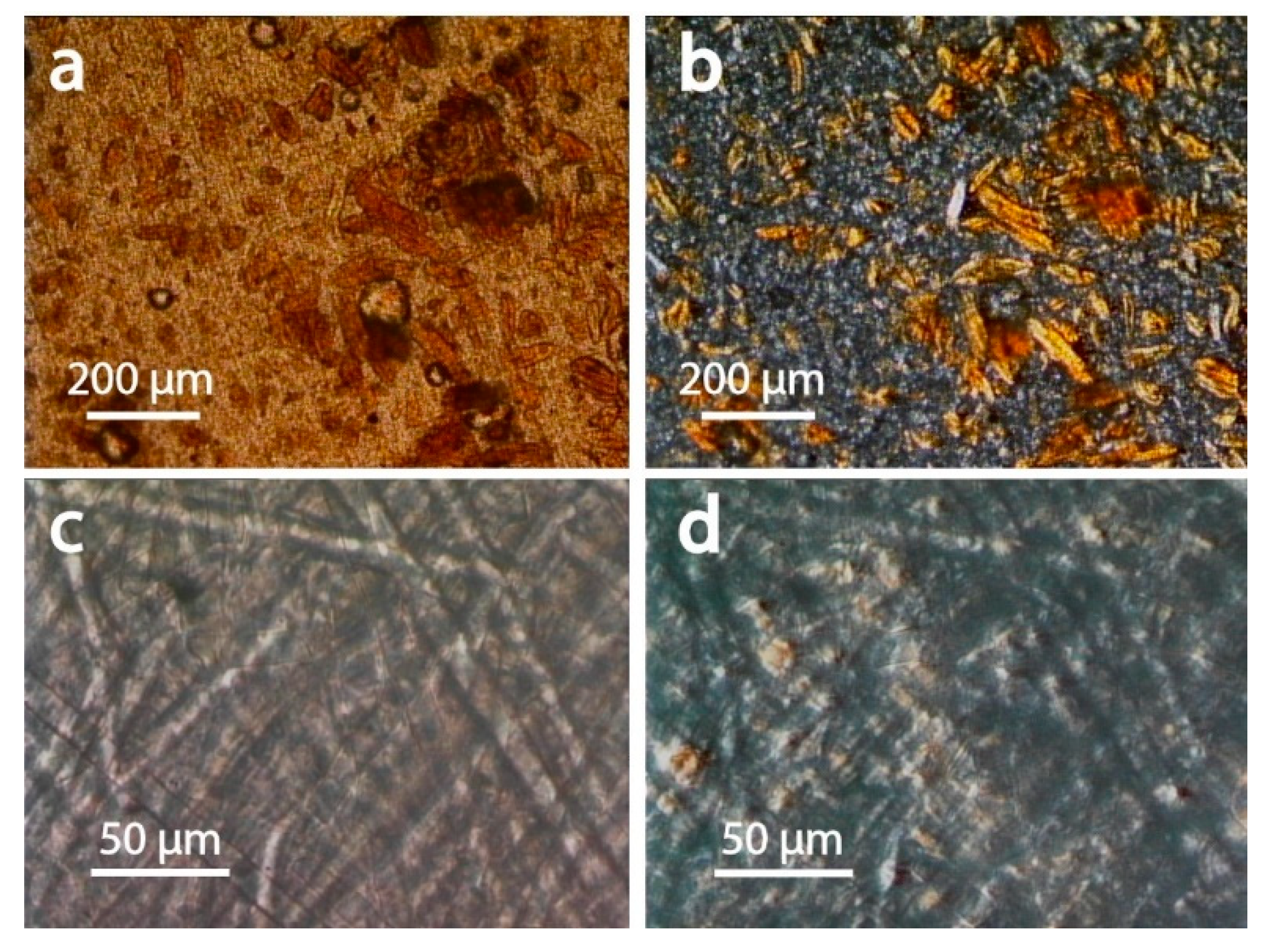 Materials 13 00422 g007