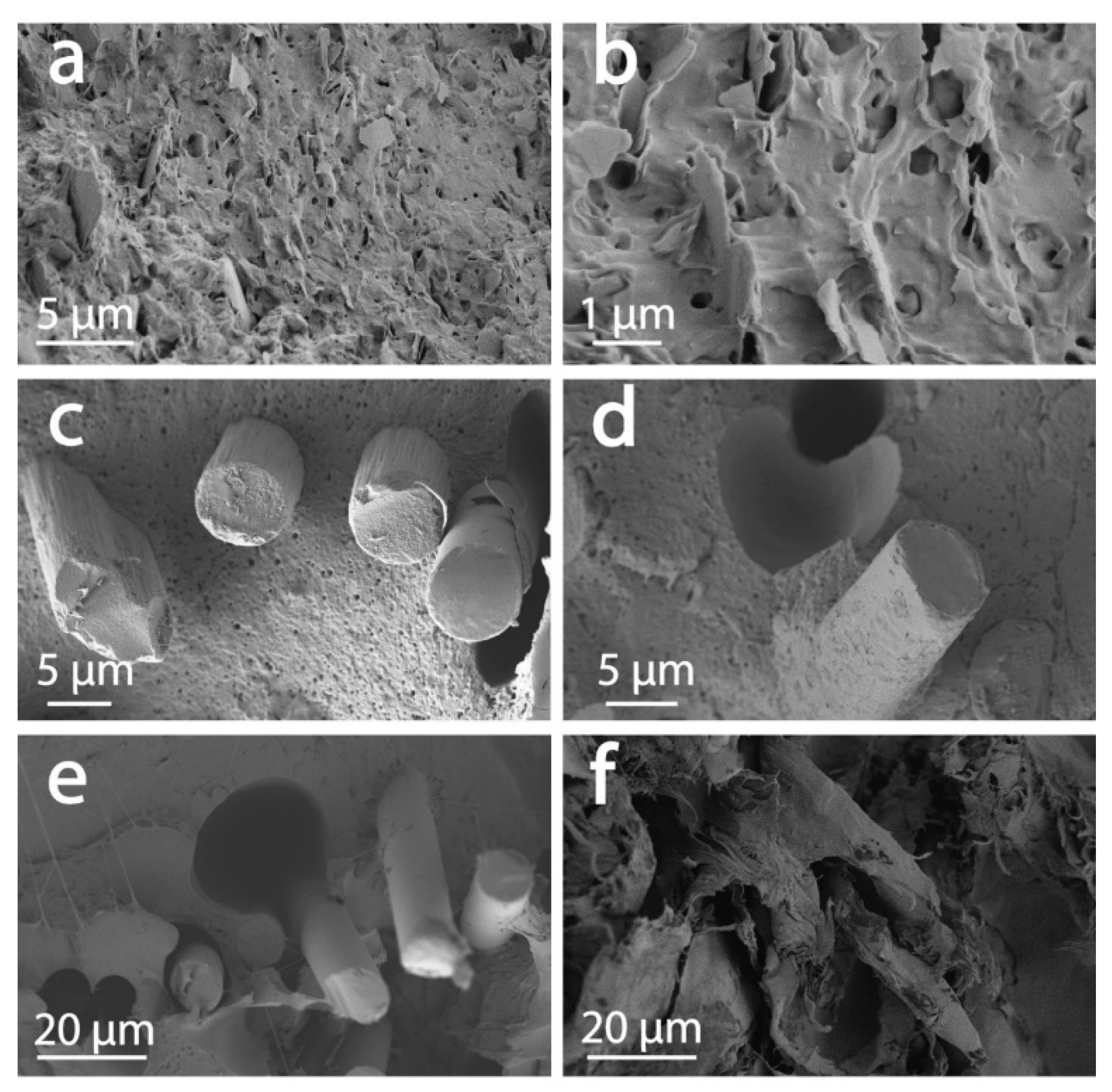 Materials 13 00422 g009