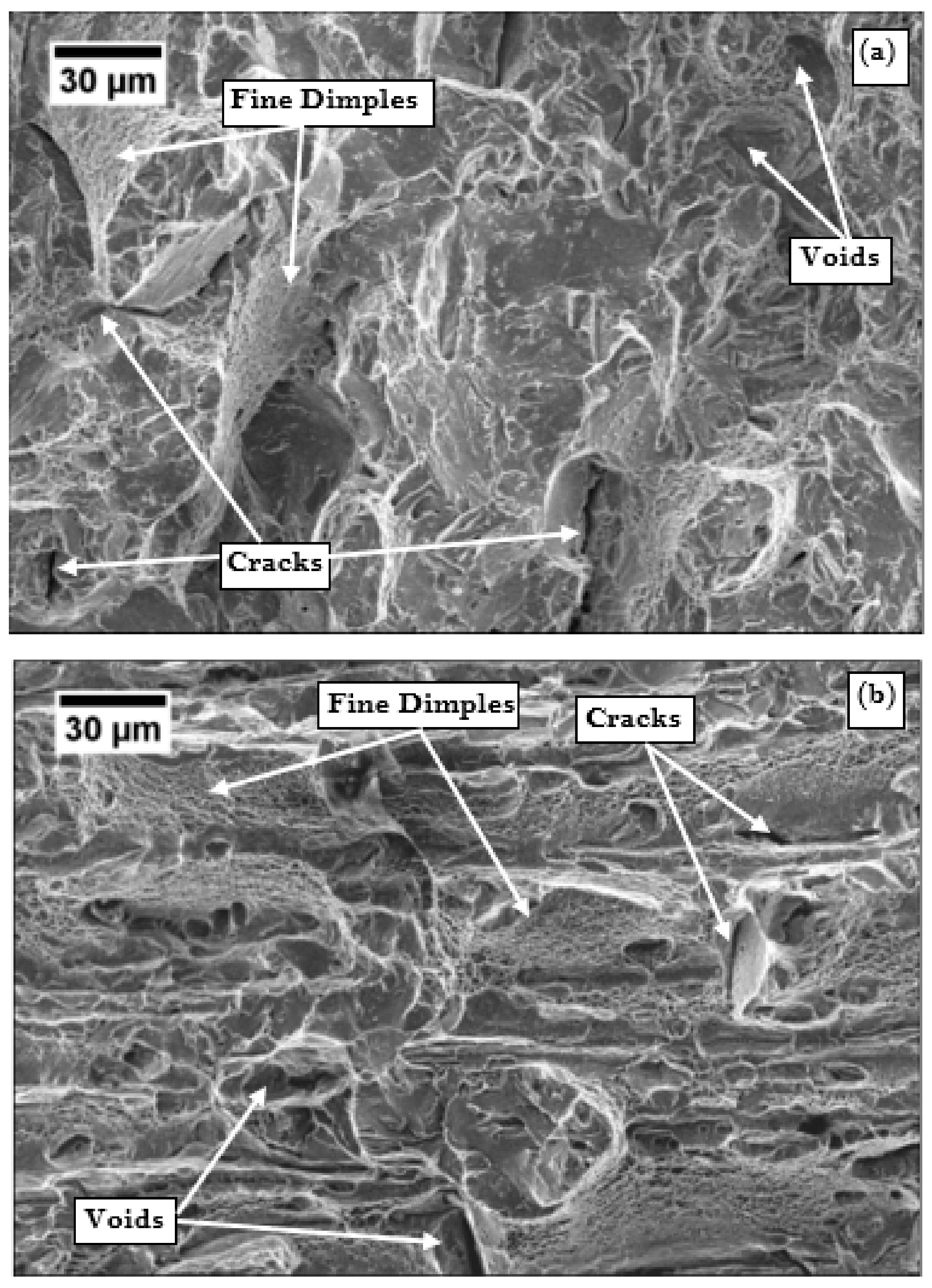 Materials 13 00436 g009a Materials 13 00436 g009a