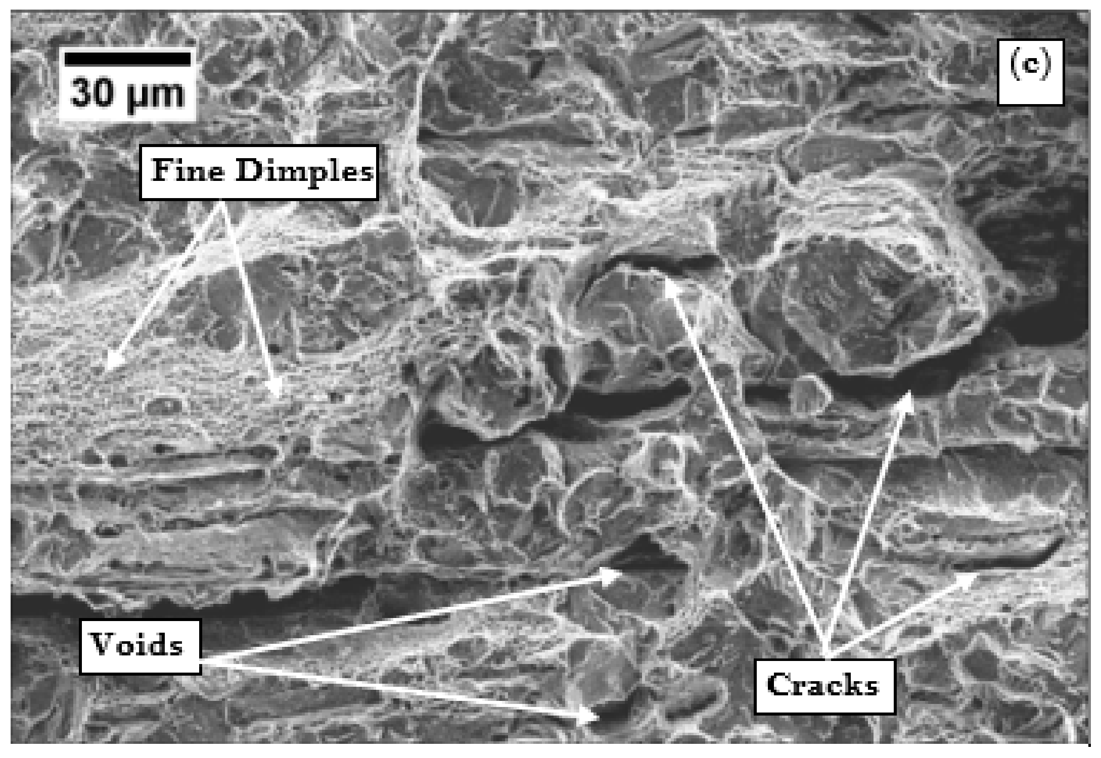 Materials 13 00436 g009b Materials 13 00436 g009b