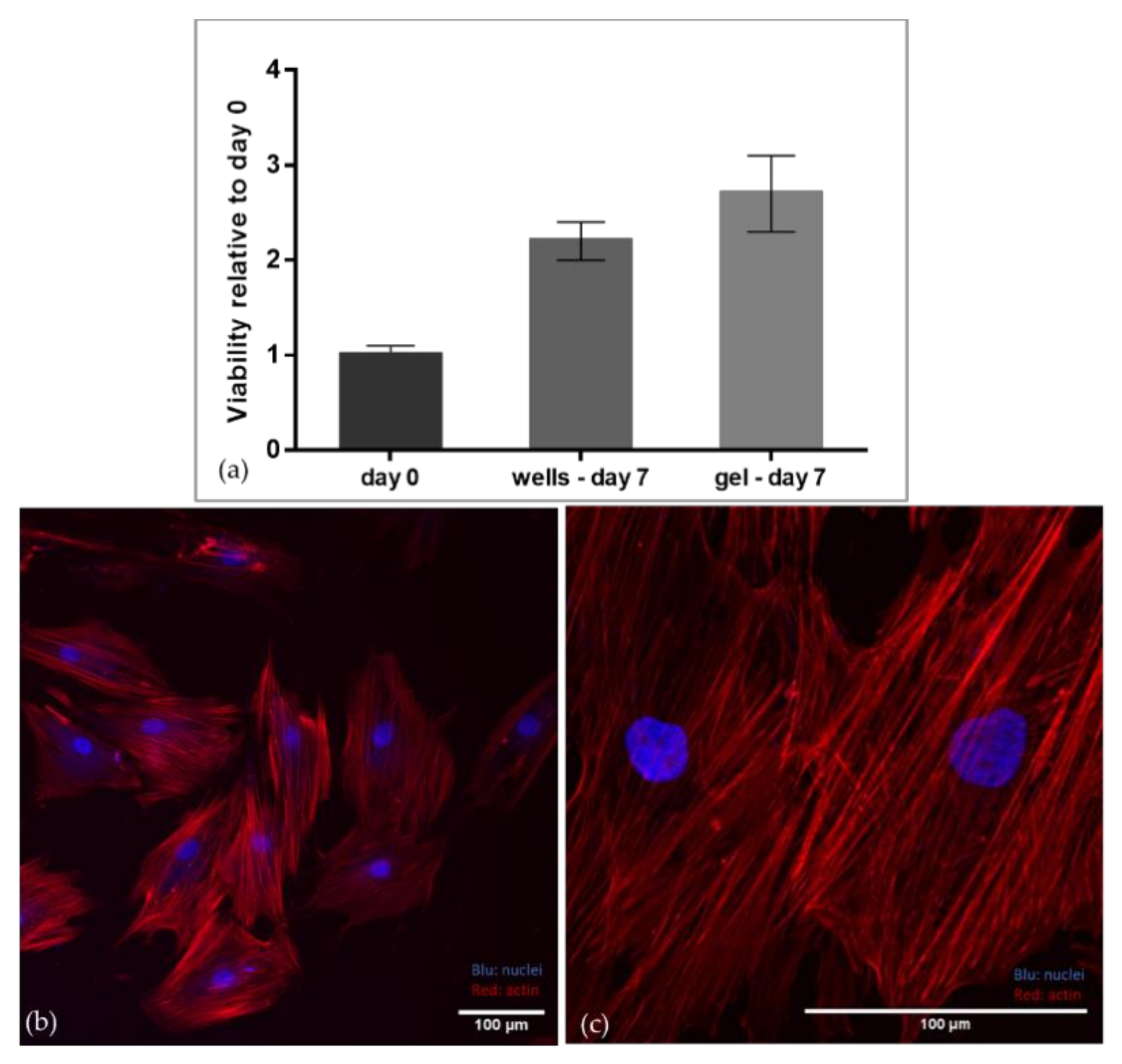 Materials 13 00438 g004