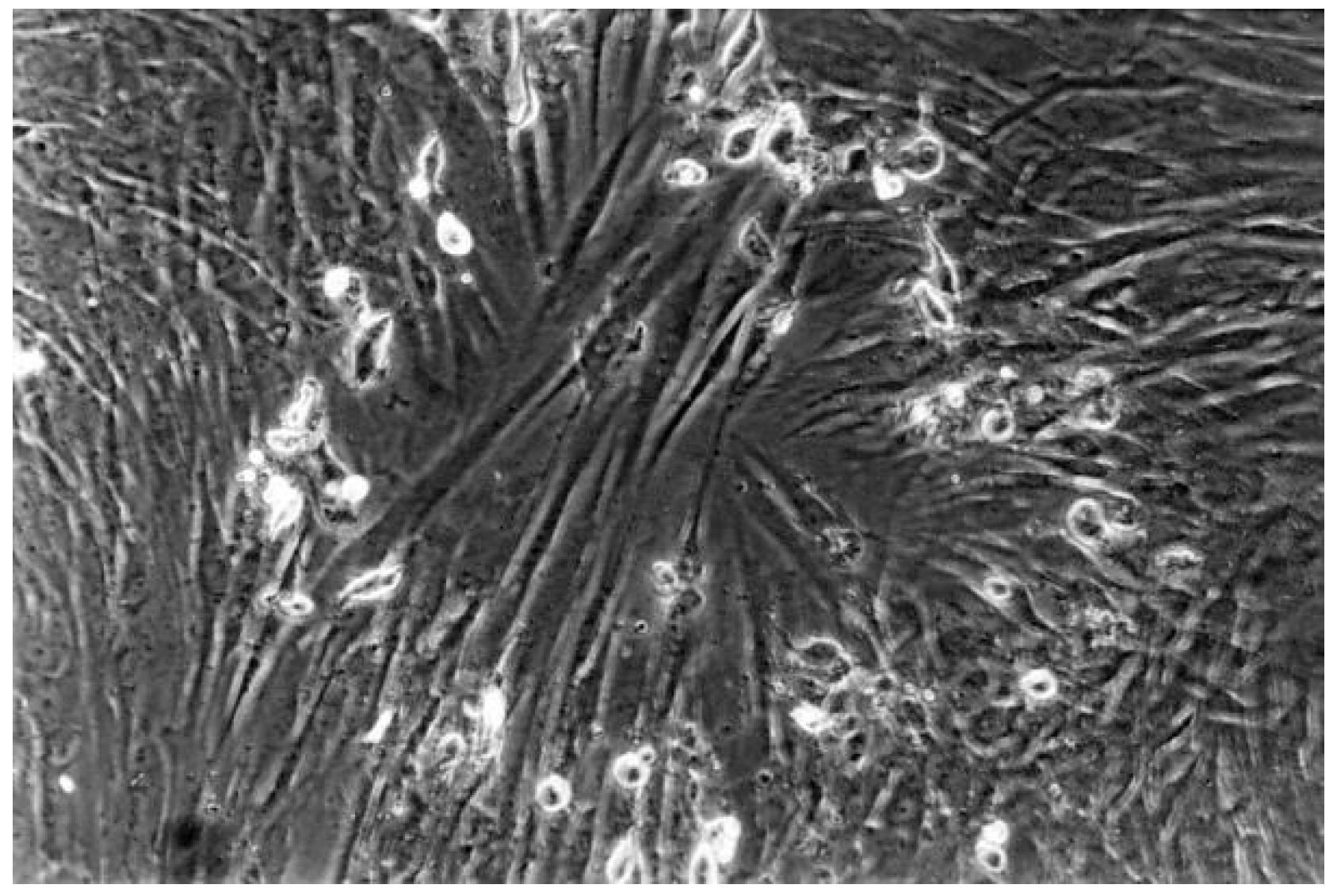 Materials 13 00452 g009