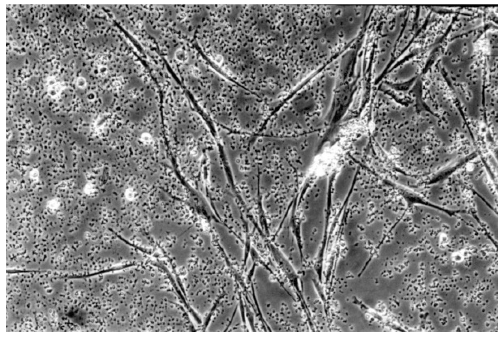 Materials 13 00452 g010