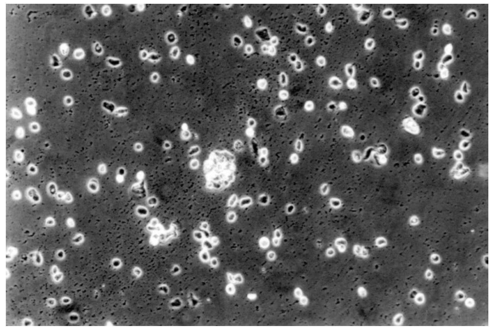 Materials 13 00452 g011