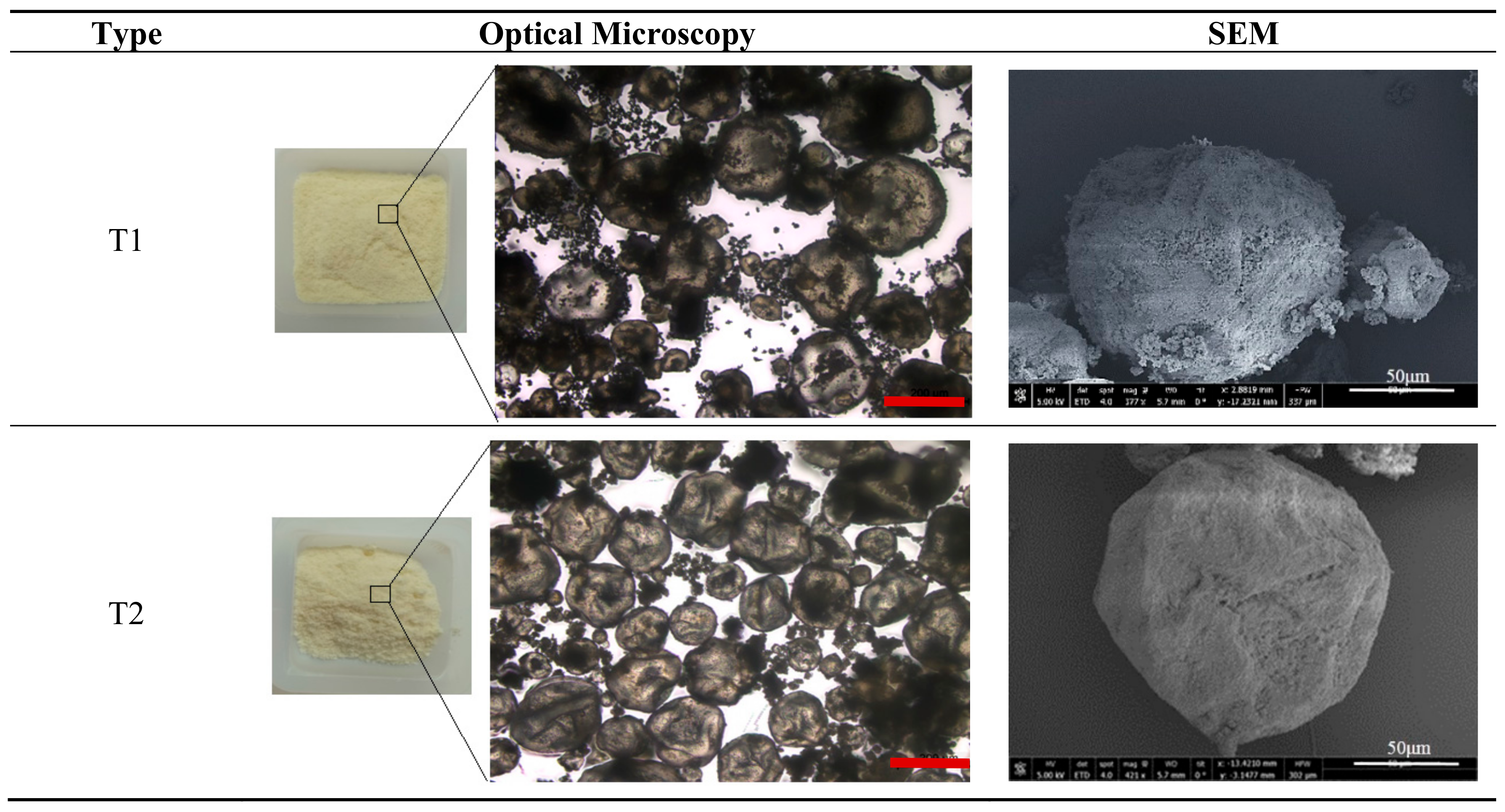 Materials 13 00456 g002