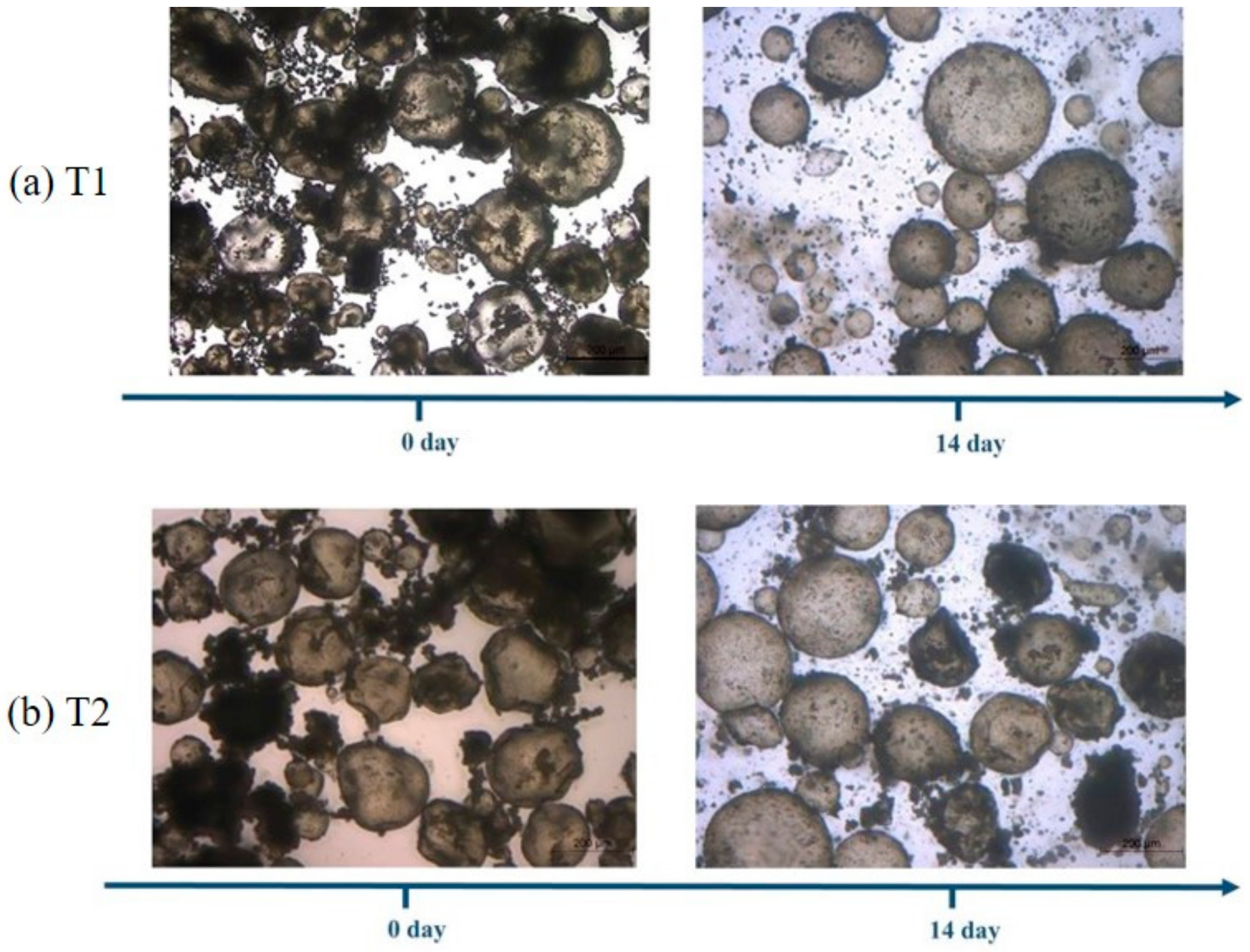 Materials 13 00456 g007