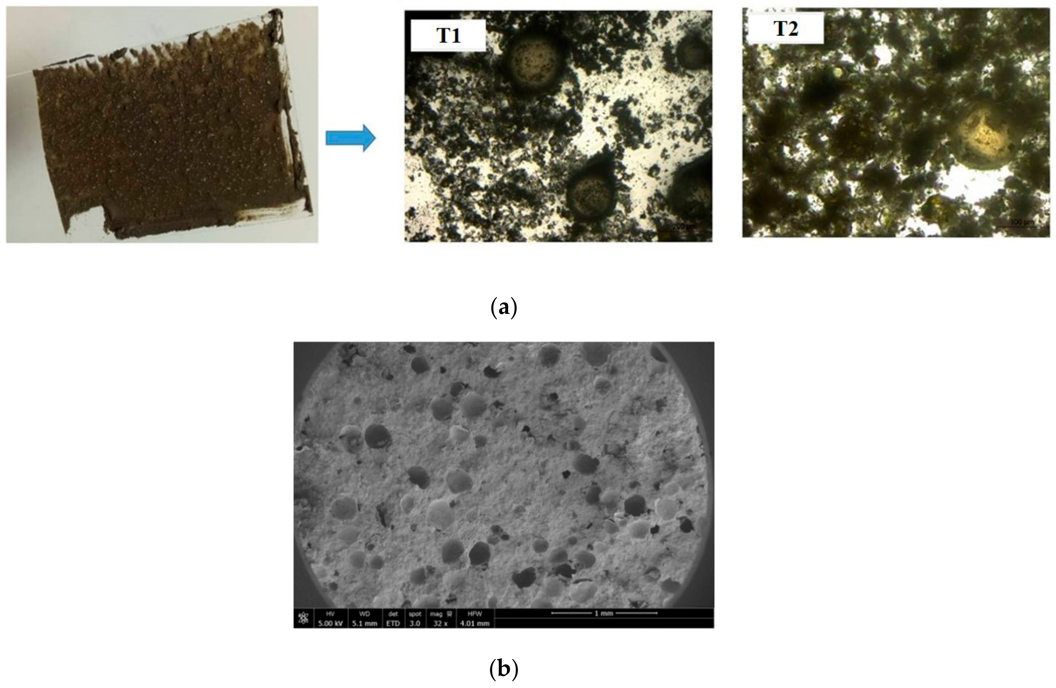 Materials 13 00456 g009a