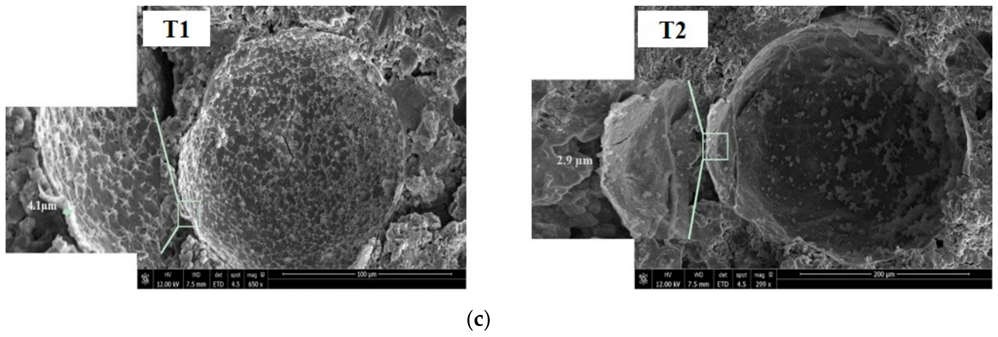 Materials 13 00456 g009b