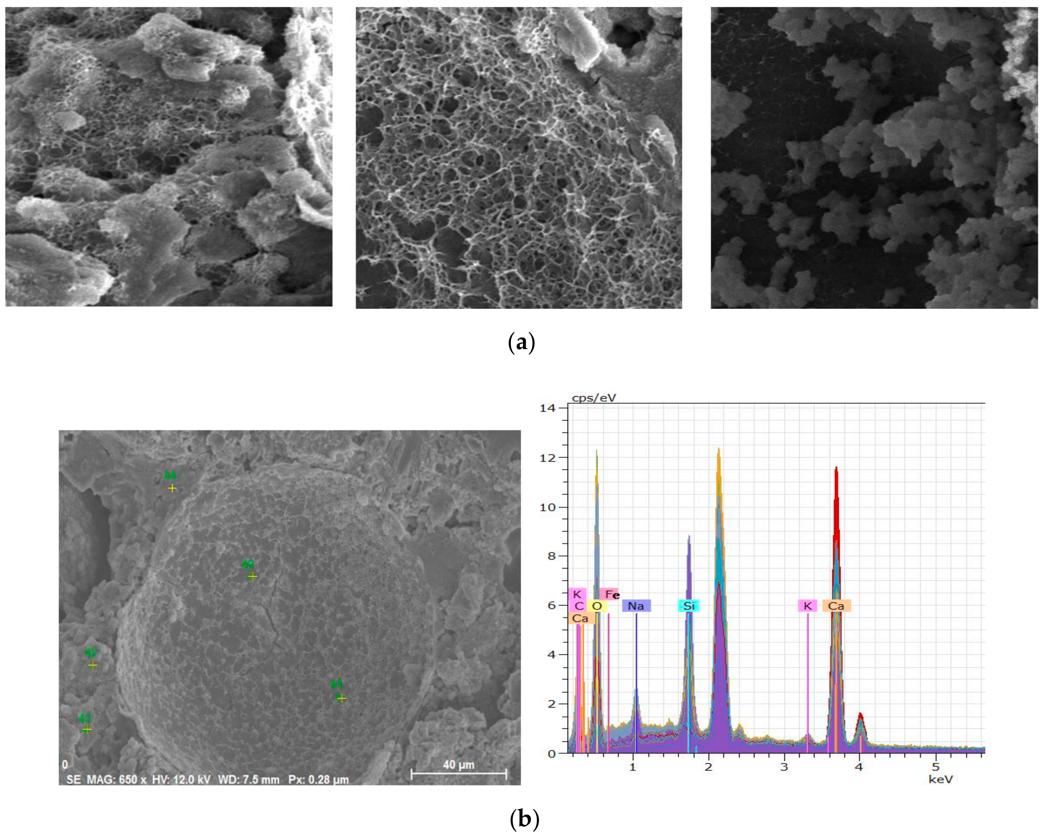 Materials 13 00456 g014