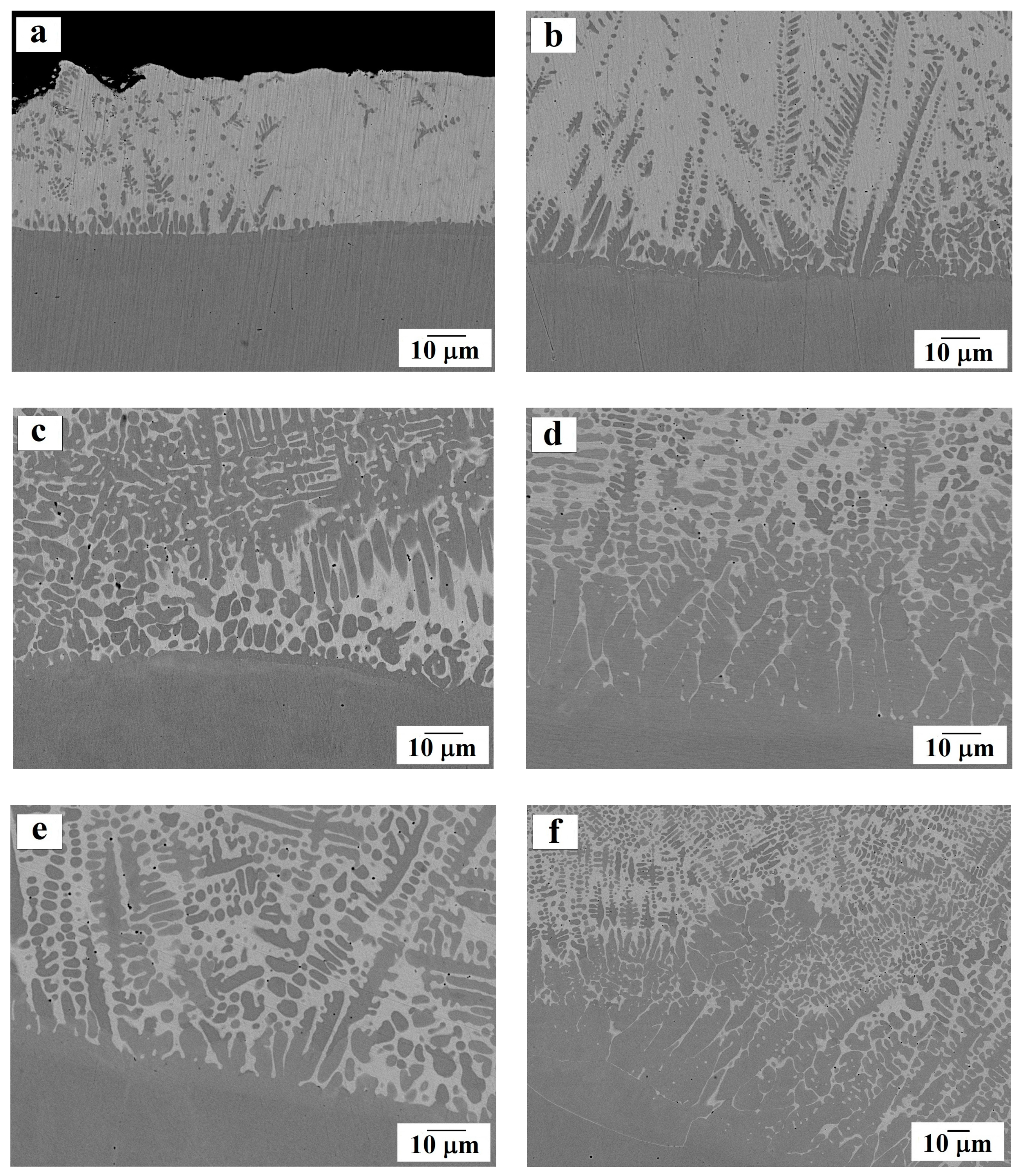 Materials 13 00461 g004