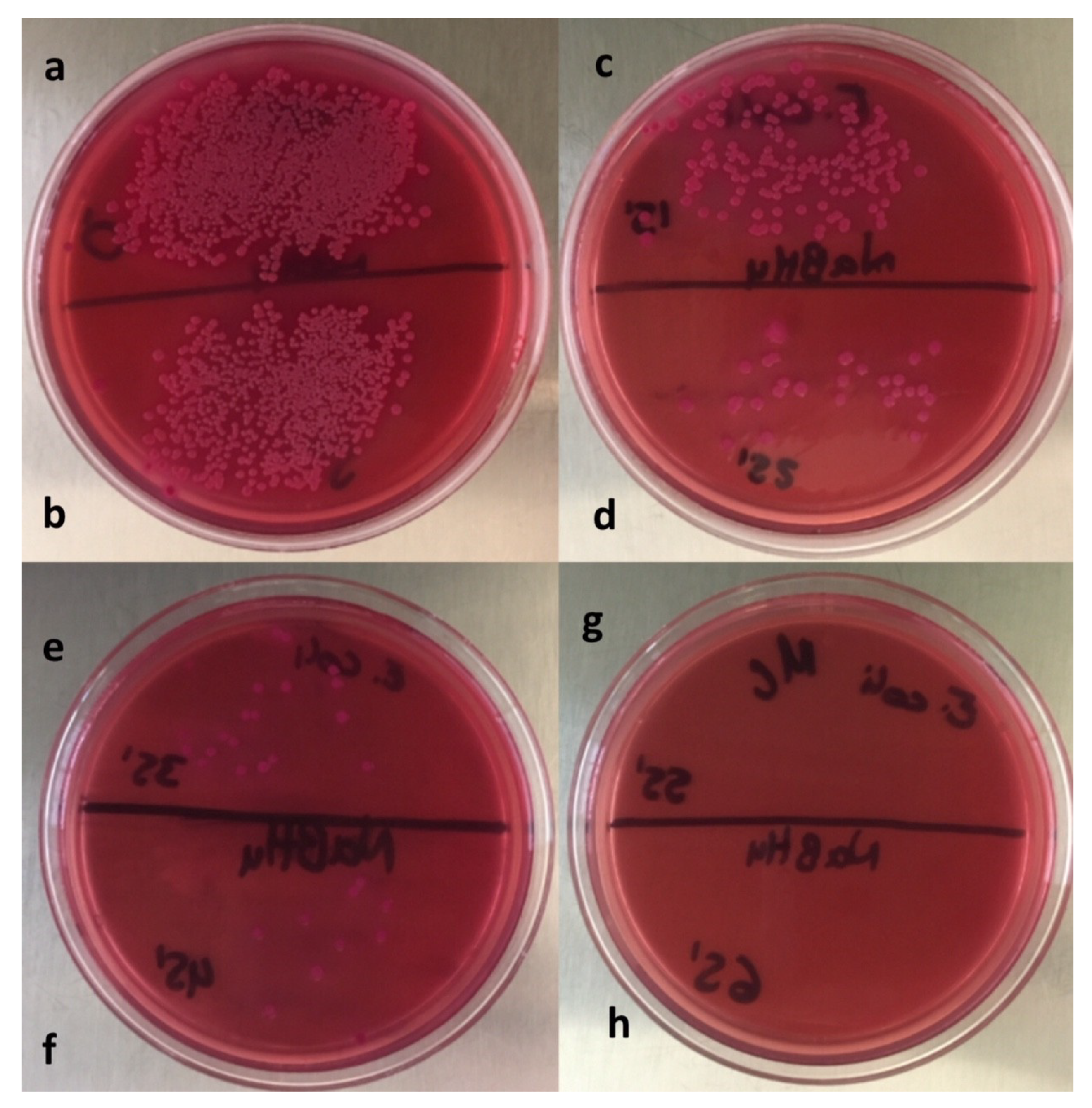 Materials 13 00462 g005 Materials 13 00462 g005