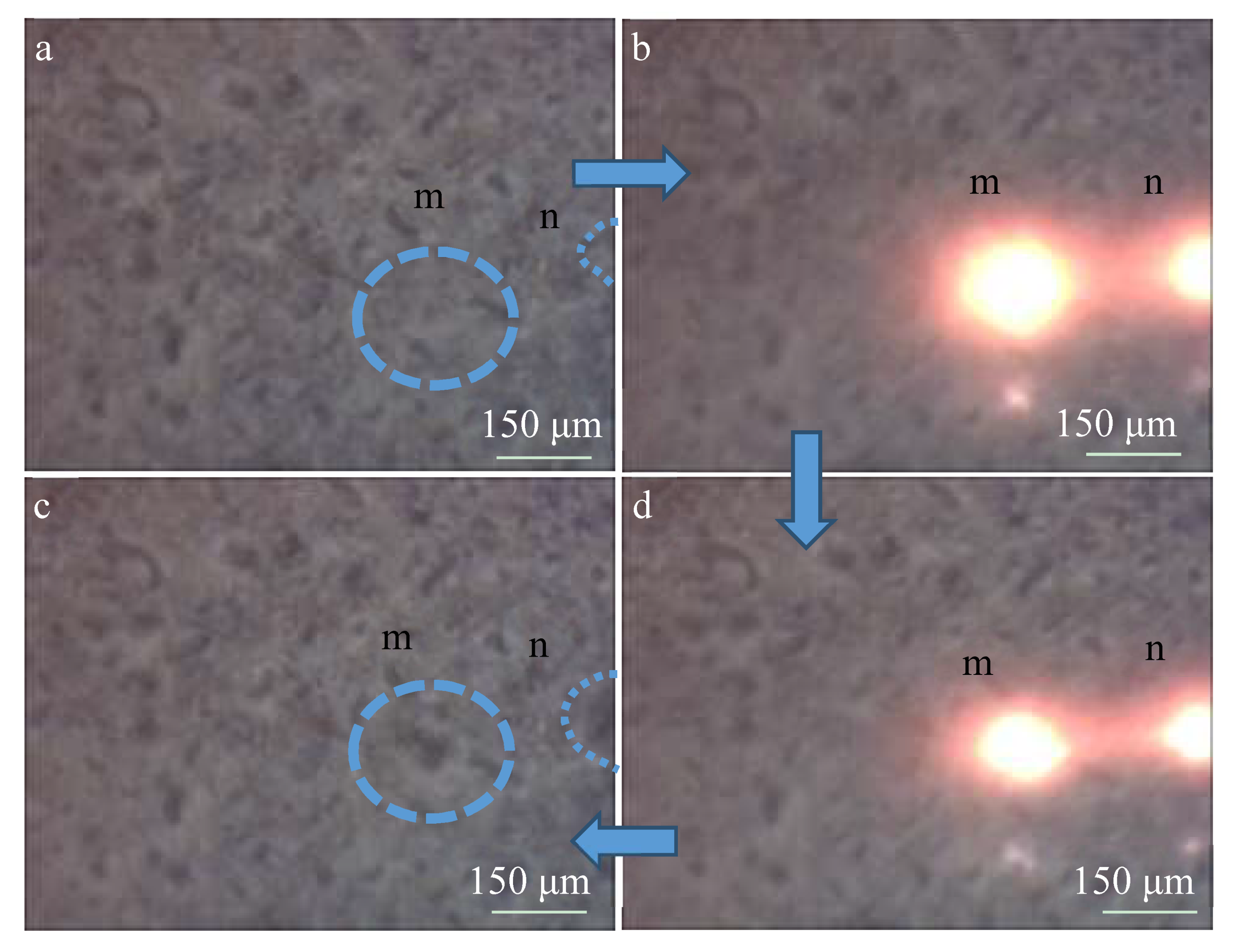 Materials 13 00464 g006 Materials 13 00464 g006