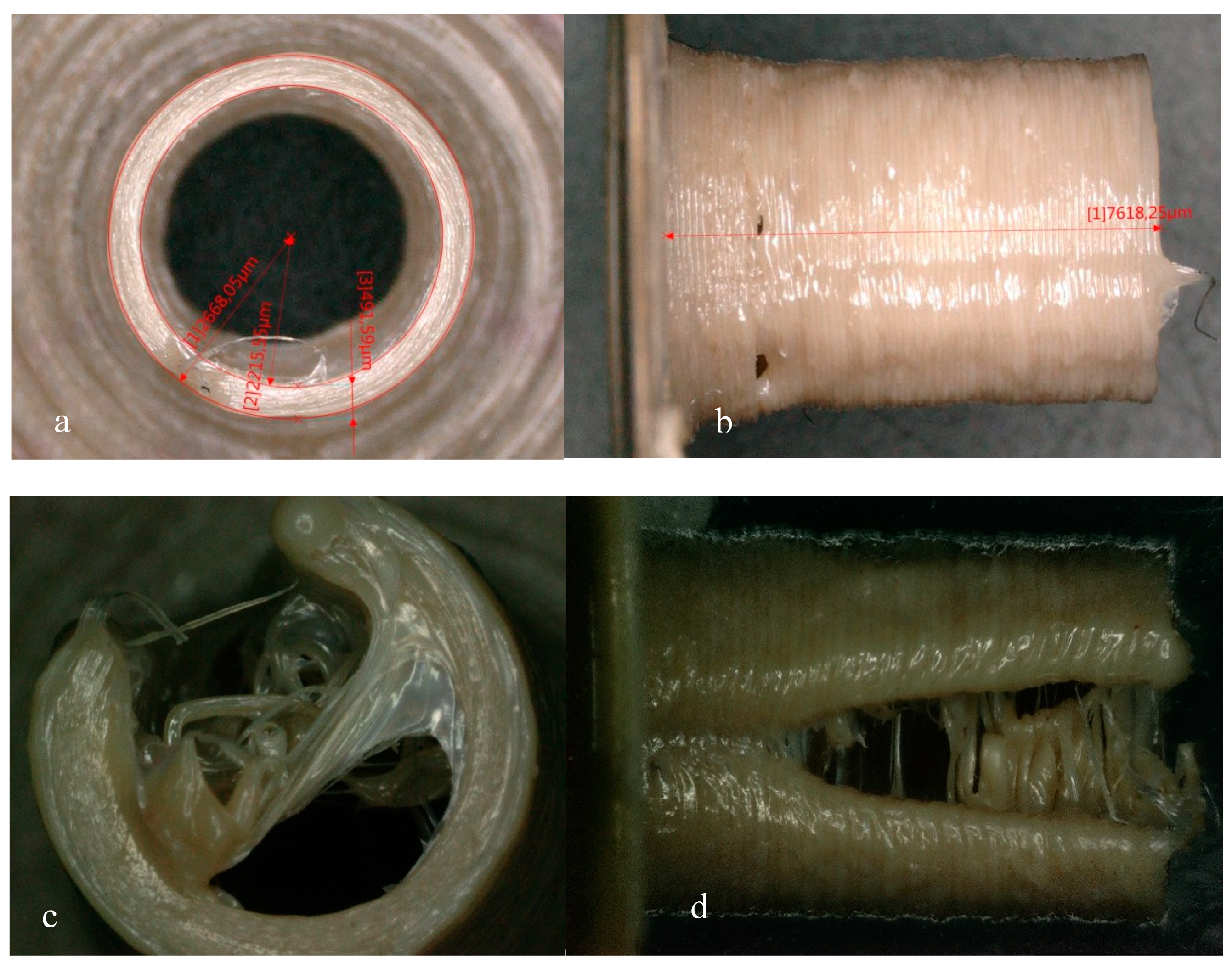 Materials 13 00466 g005 Materials 13 00466 g005