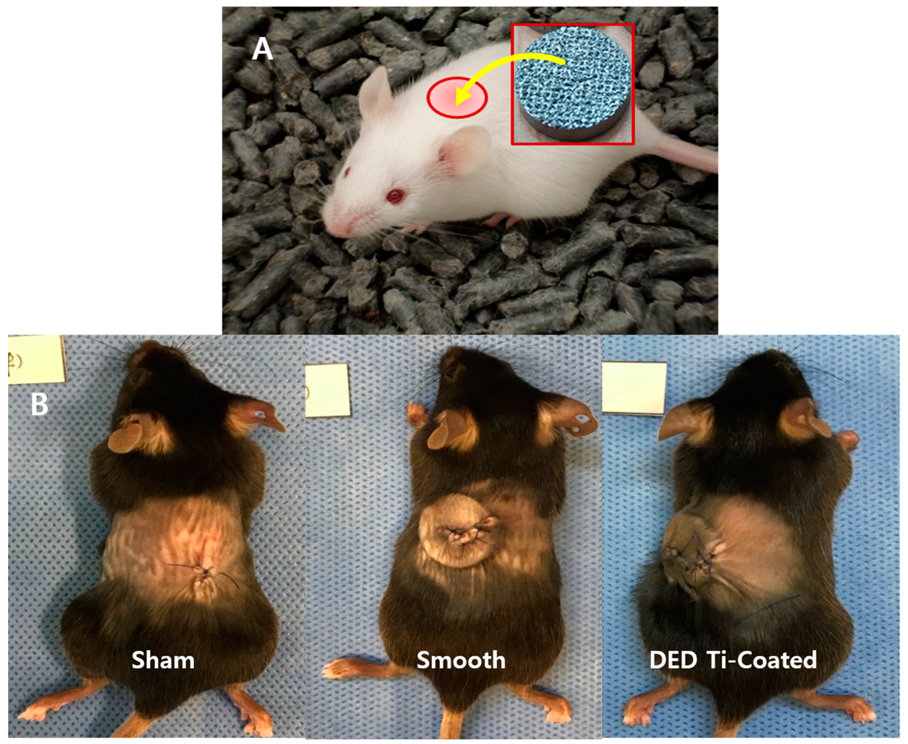 Materials 13 00472 g002 Materials 13 00472 g002