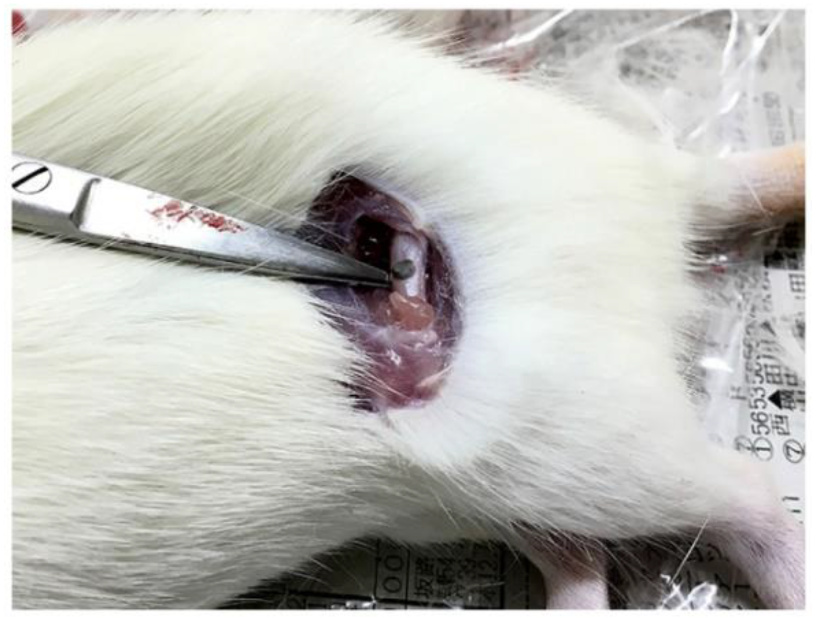 Materials 13 00473 g002