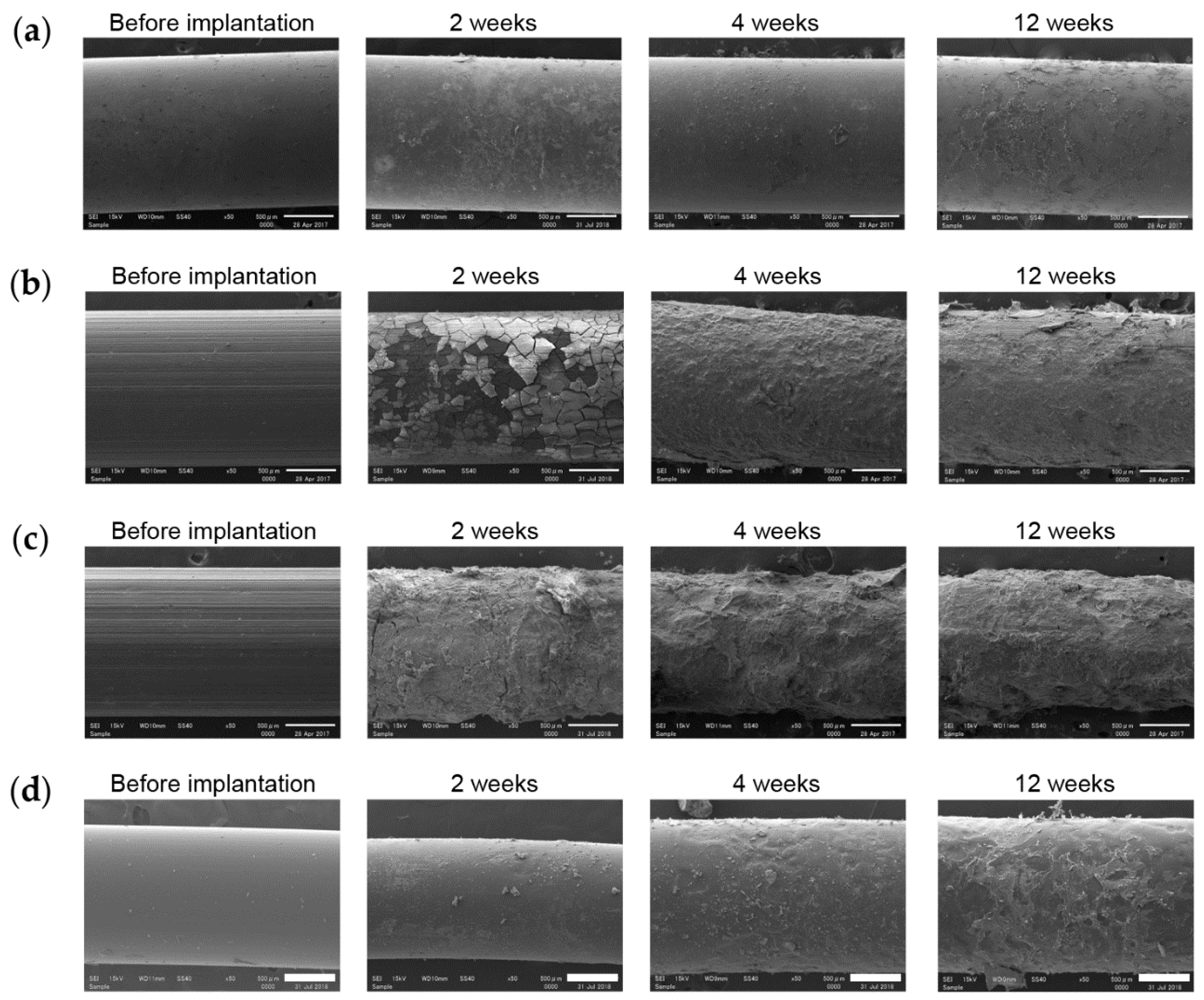 Materials 13 00473 g010