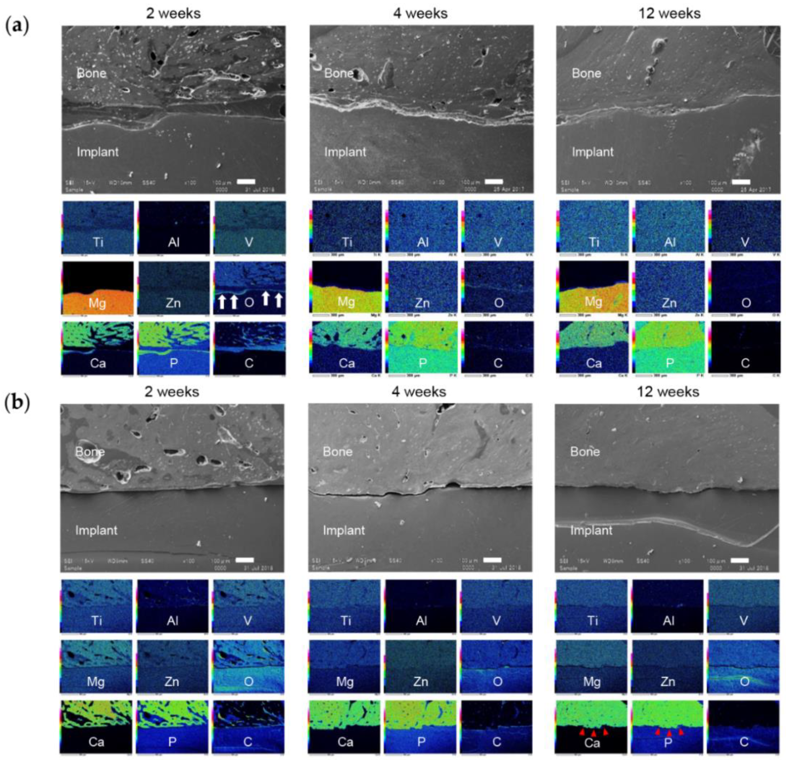 Materials 13 00473 g012