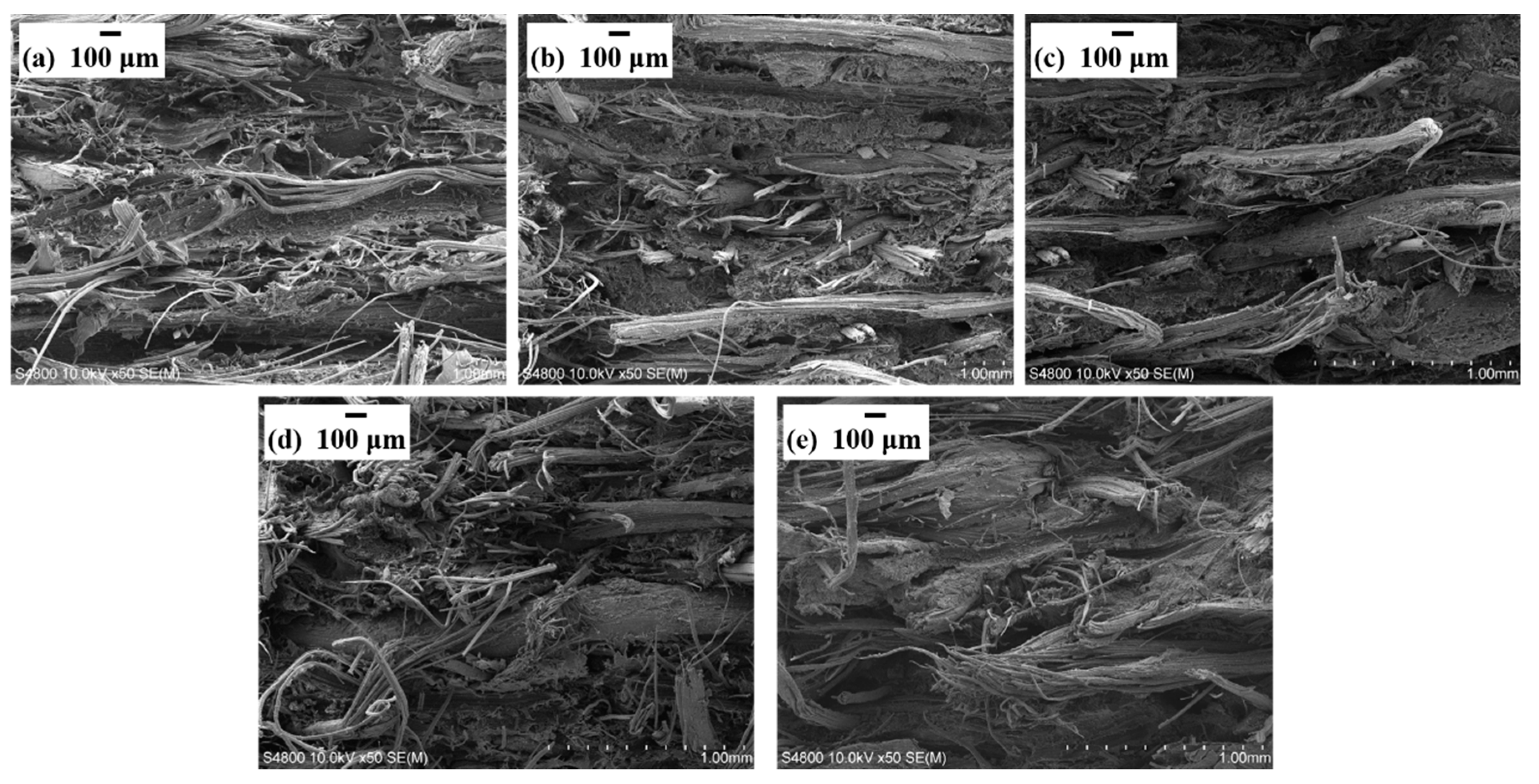 Materials 13 00479 g003 Materials 13 00479 g003