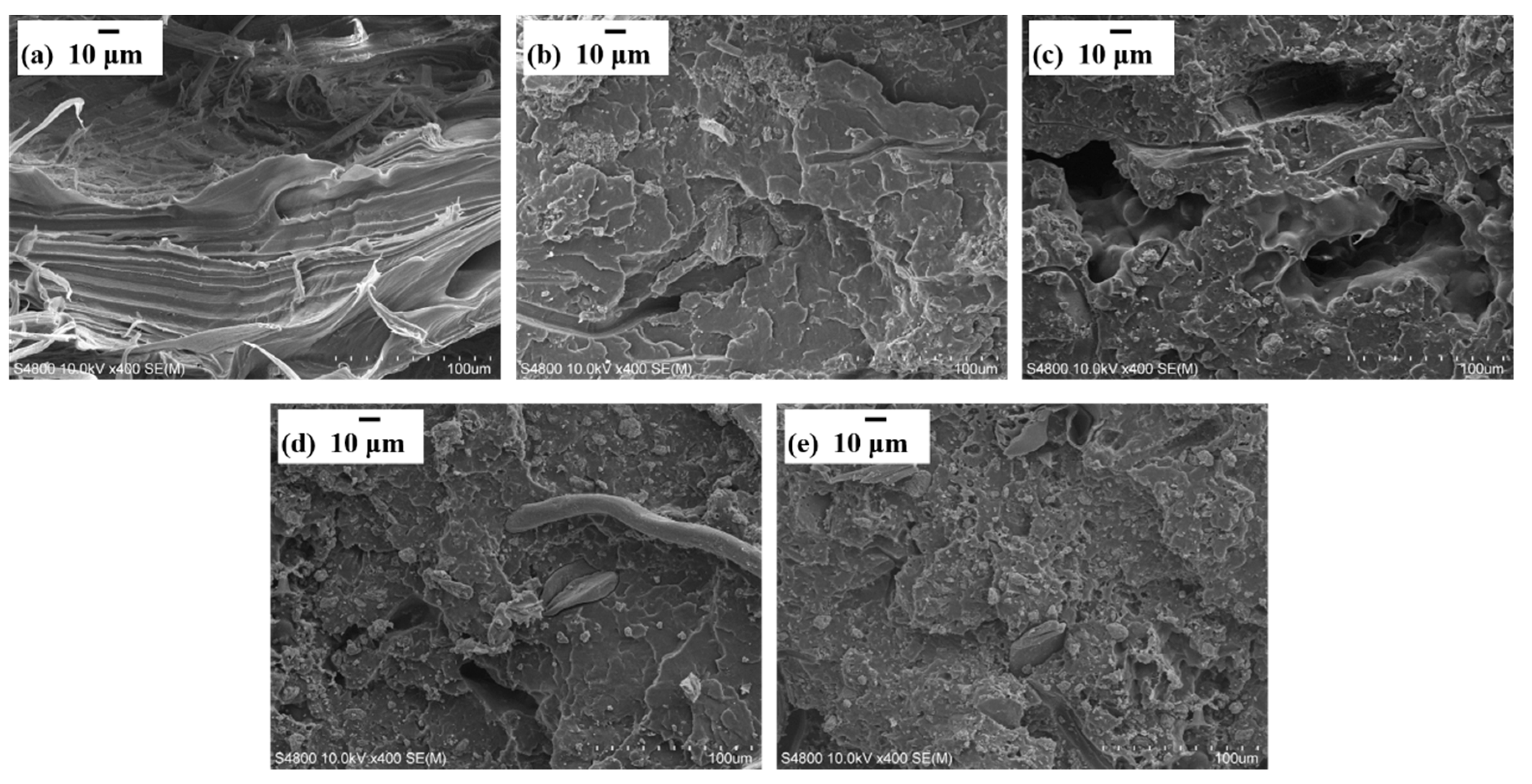 Materials 13 00479 g004 Materials 13 00479 g004