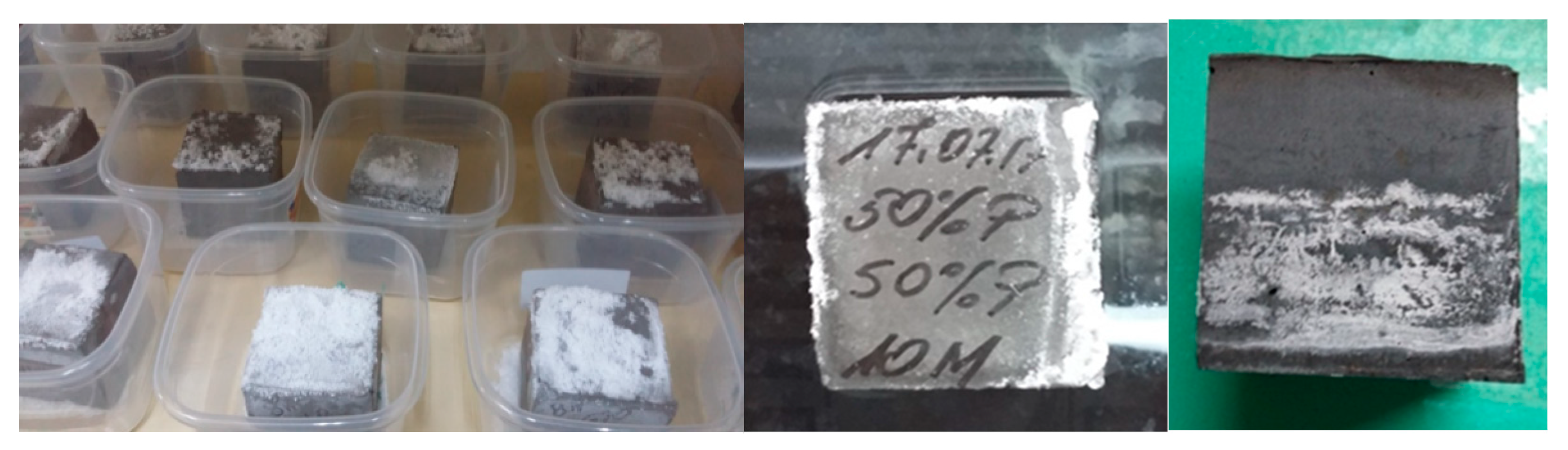 Materials 13 00495 g007