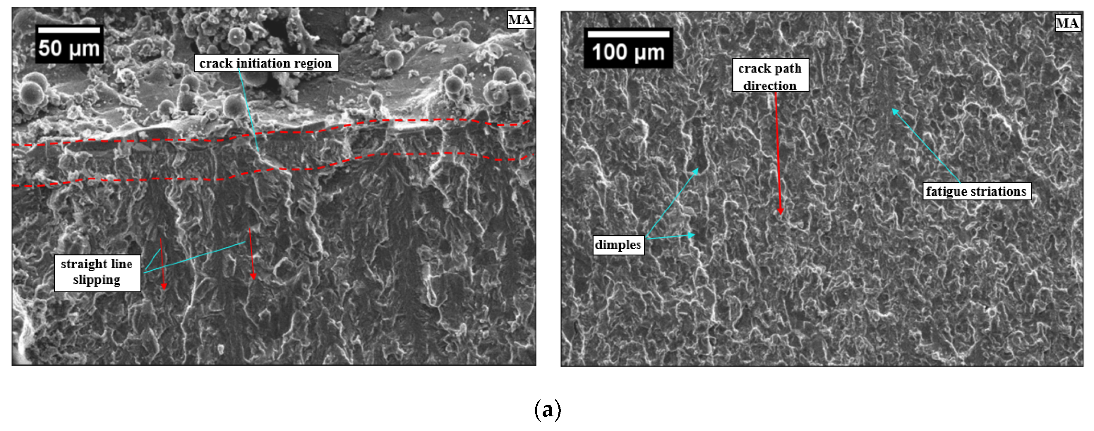 Materials 13 00500 g007a Materials 13 00500 g007a