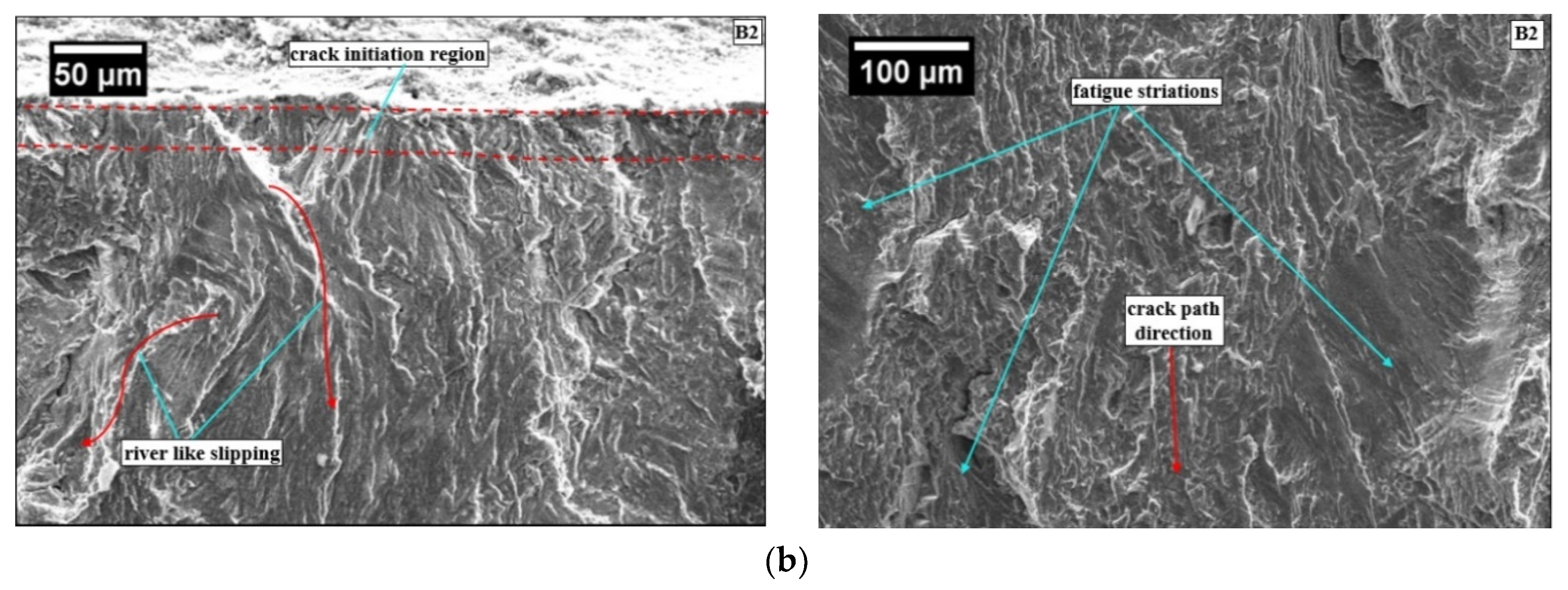 Materials 13 00500 g007b Materials 13 00500 g007b