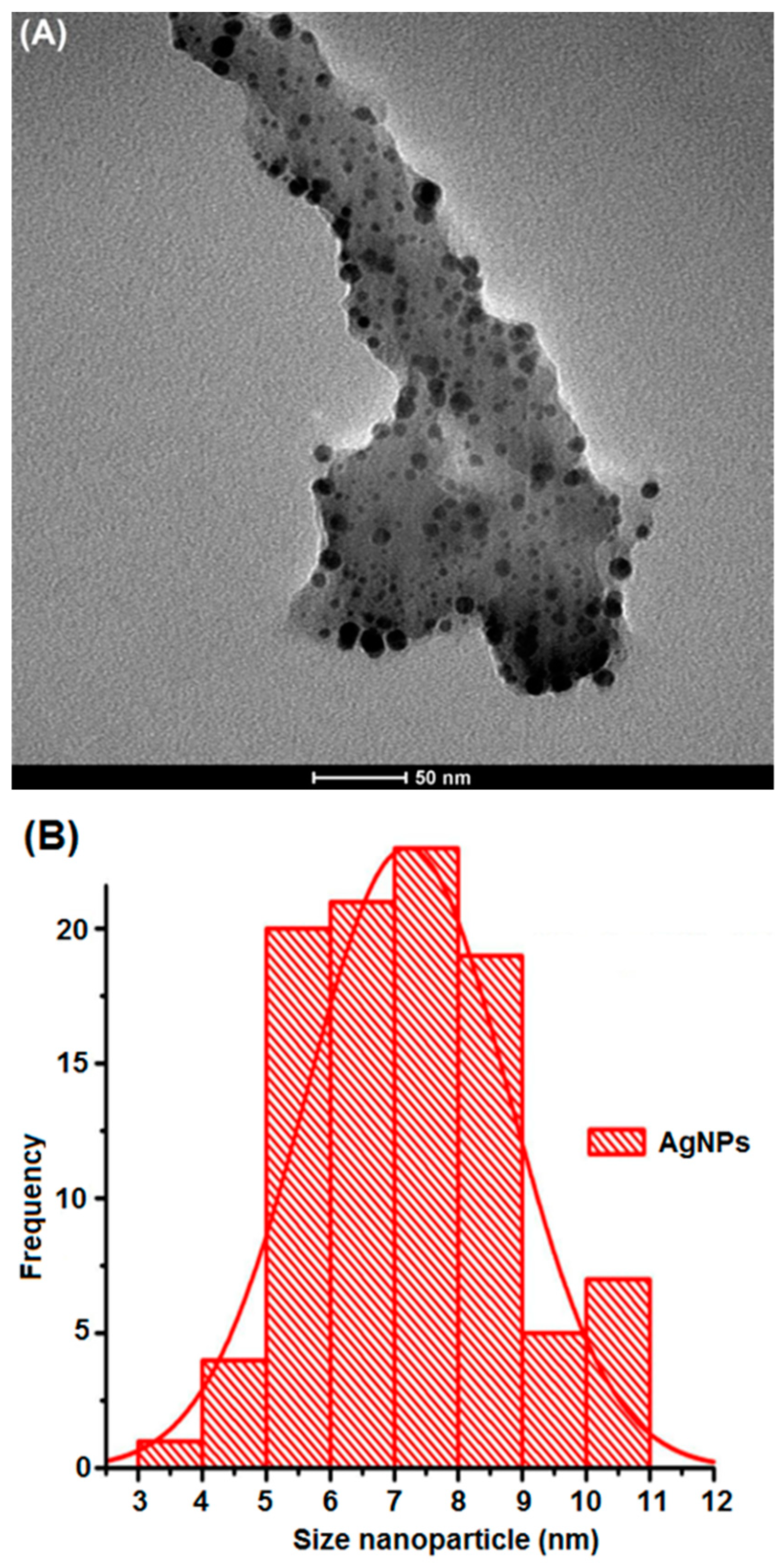 Materials 13 00503 g003 Materials 13 00503 g003