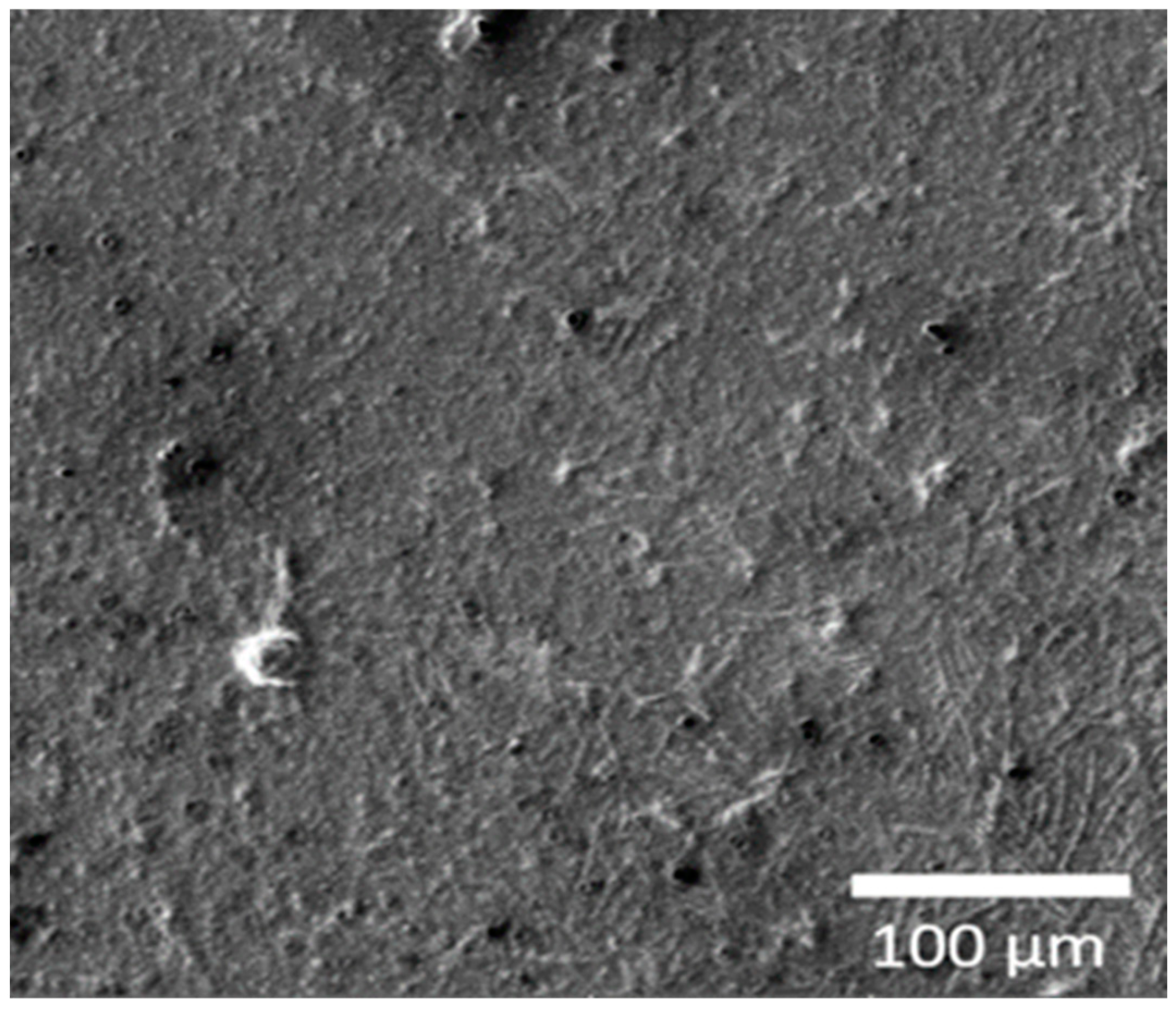 Materials 13 00503 g004 Materials 13 00503 g004