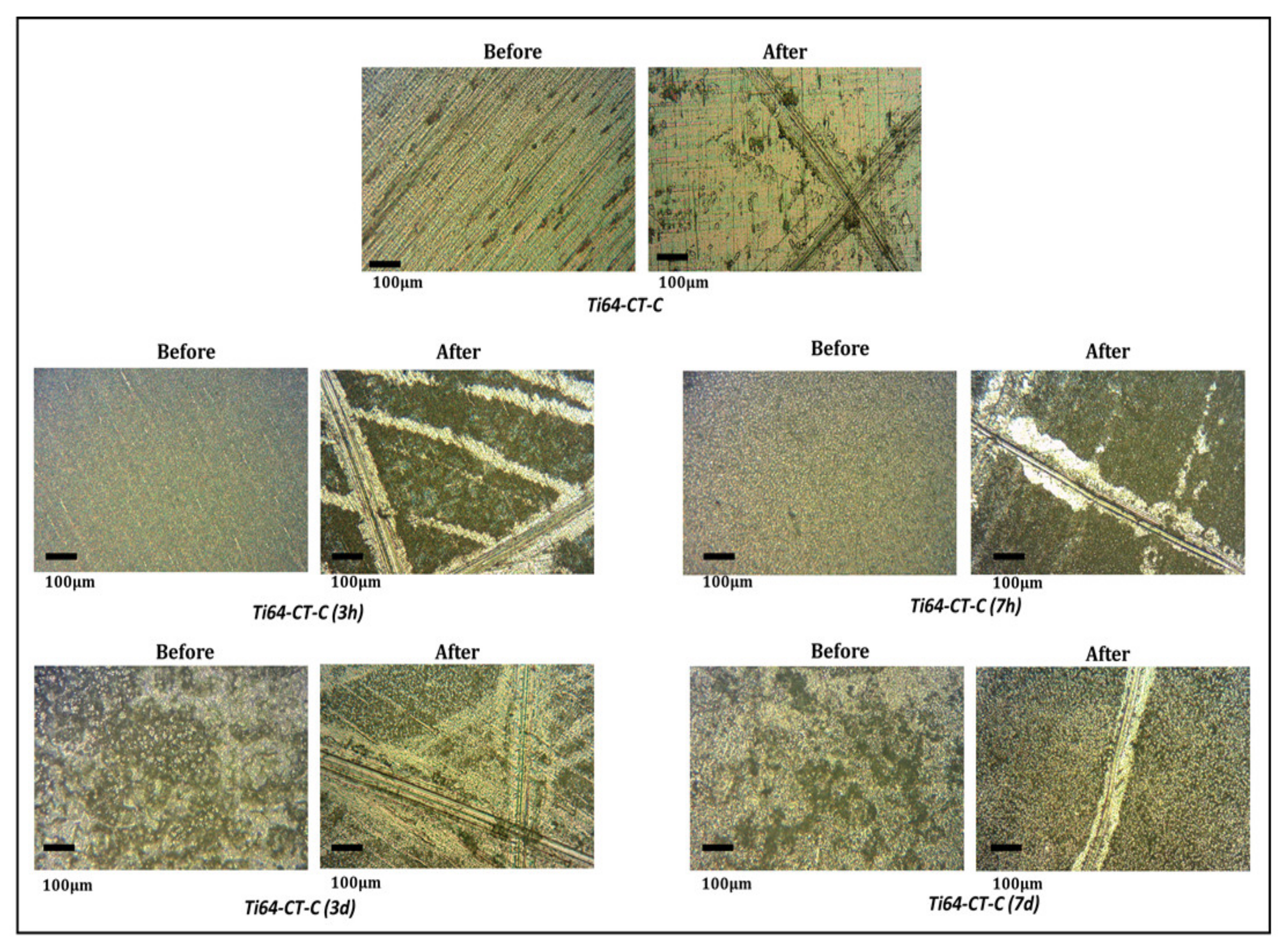 Materials 13 00516 g007