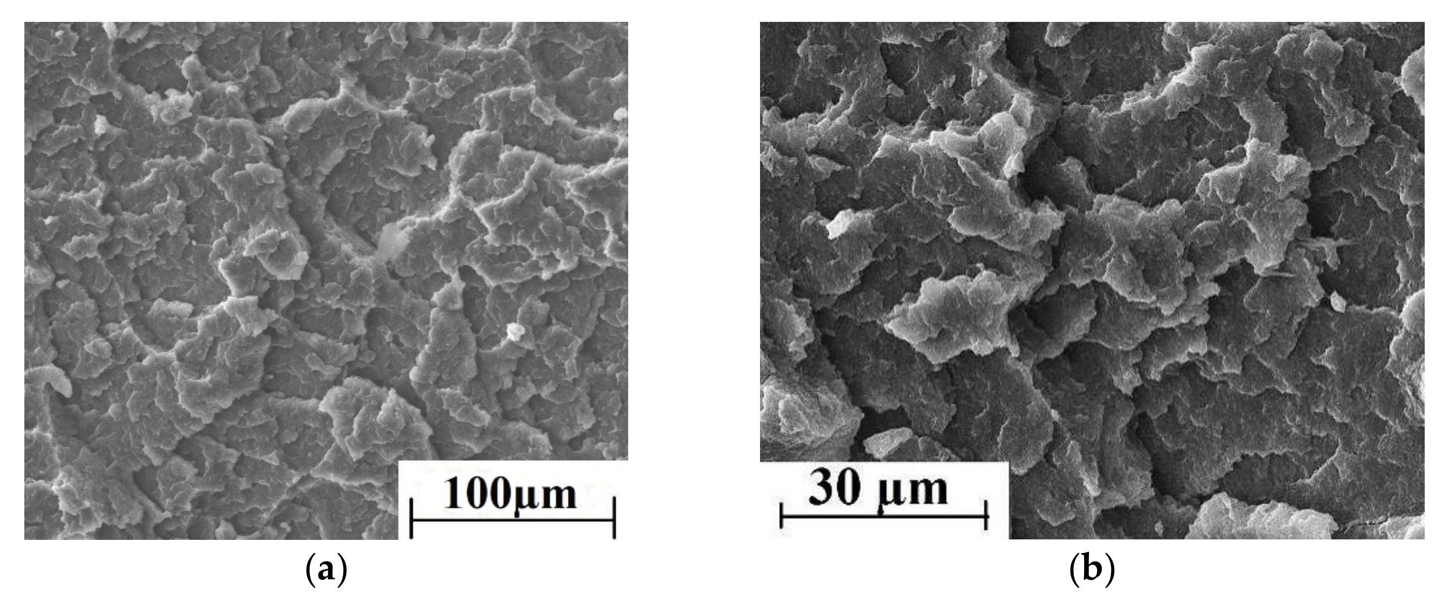 Materials 13 00524 g003a Materials 13 00524 g003a