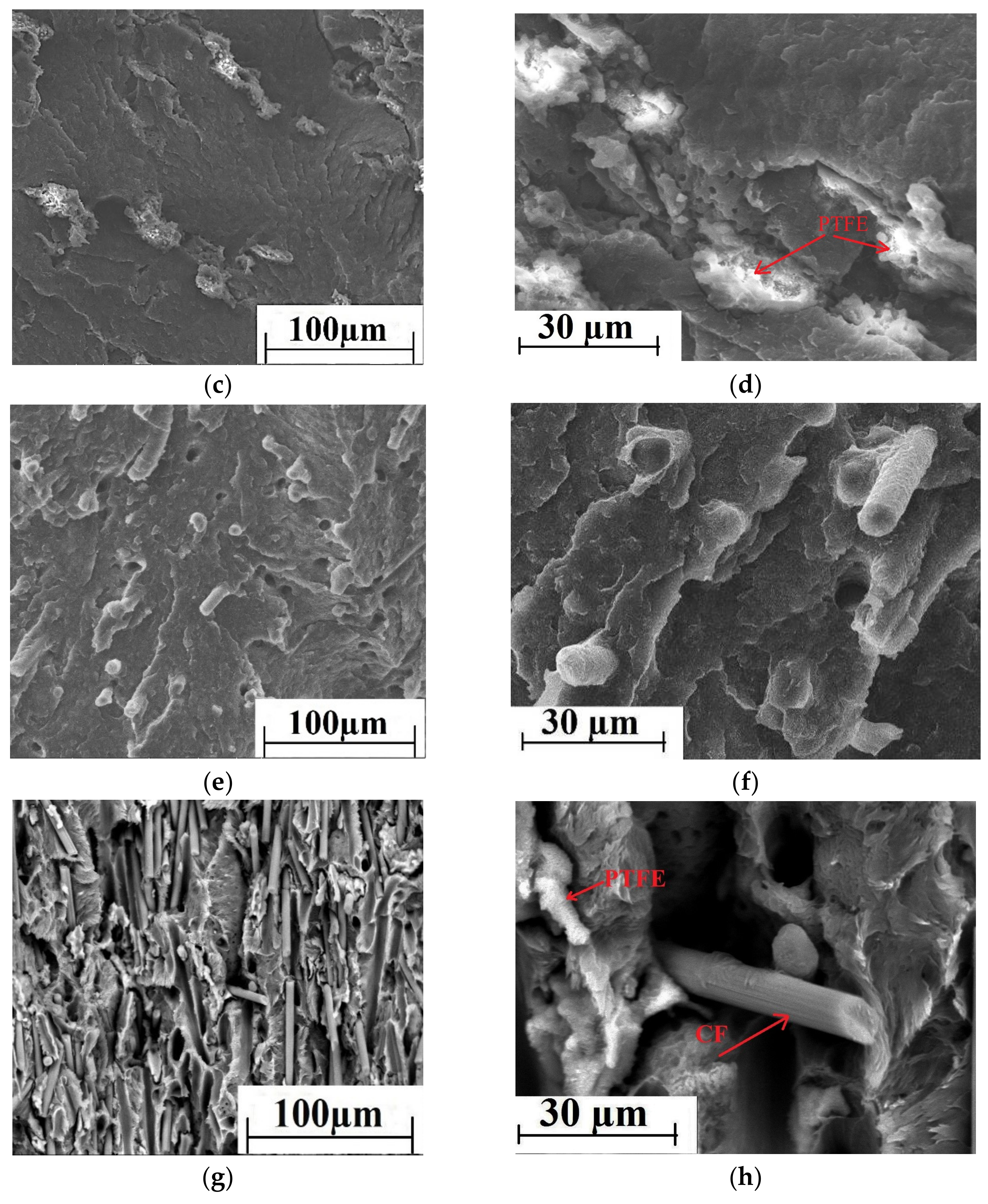 Materials 13 00524 g003b Materials 13 00524 g003b