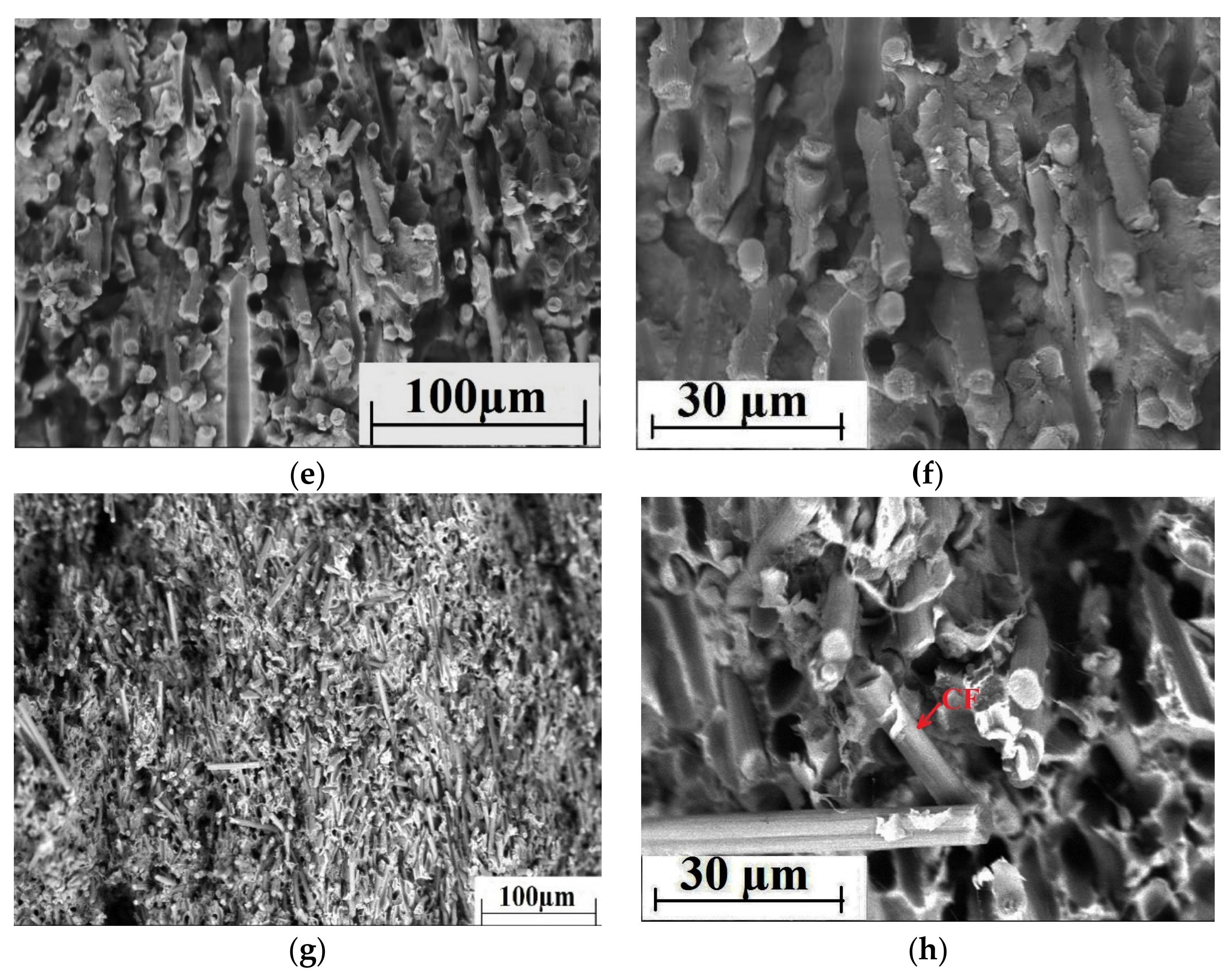 Materials 13 00524 g008b Materials 13 00524 g008b