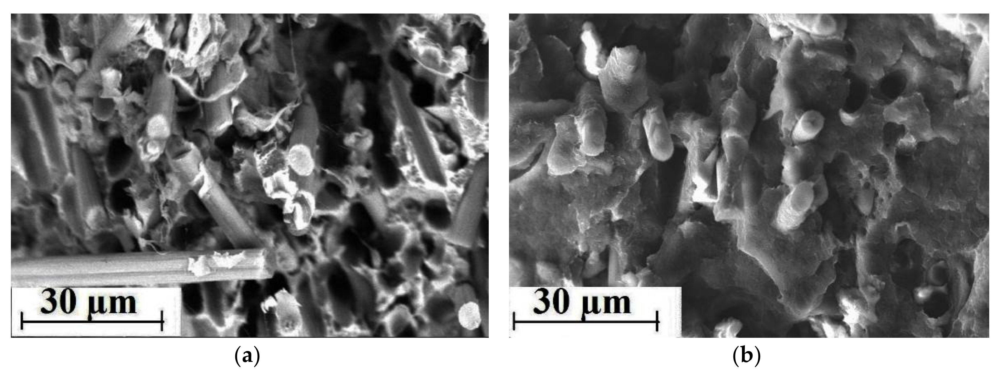 Materials 13 00524 g011 Materials 13 00524 g011