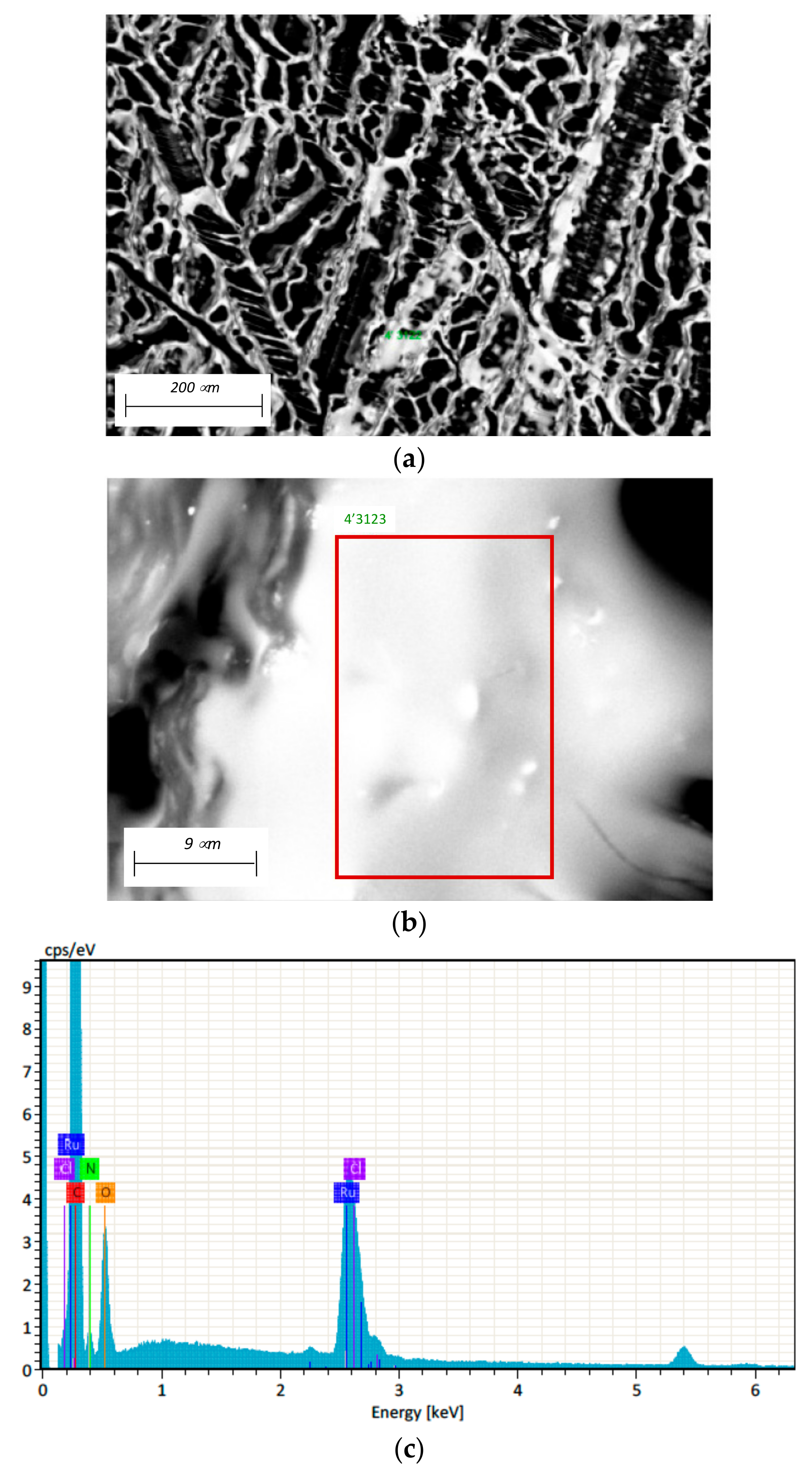 Materials 13 00526 g004