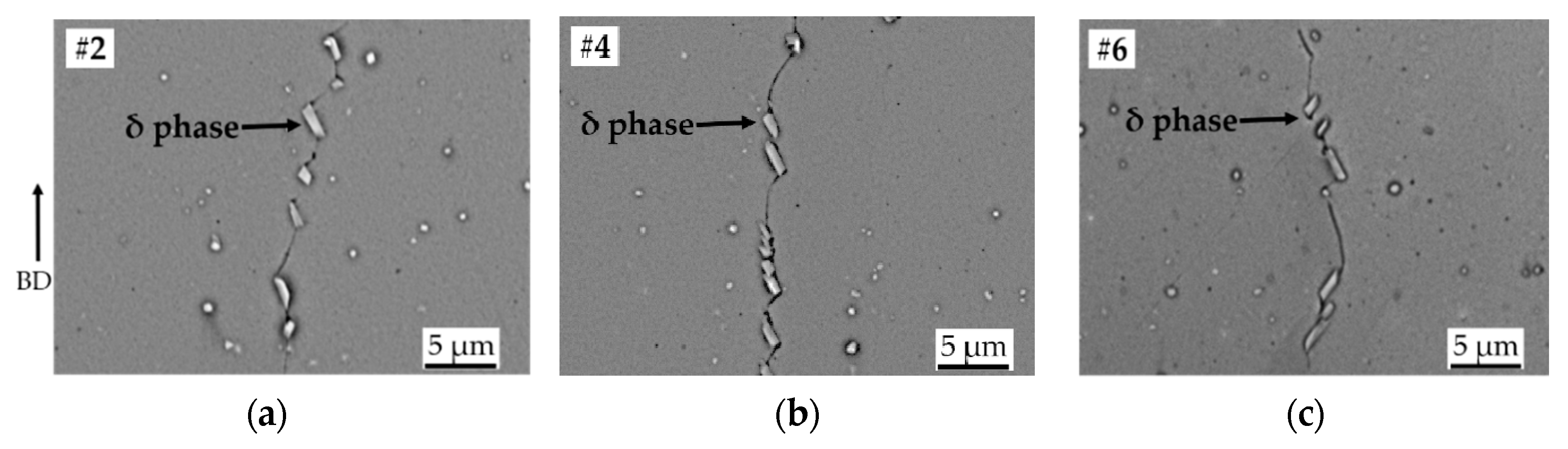 Materials 13 00536 g005 Materials 13 00536 g005