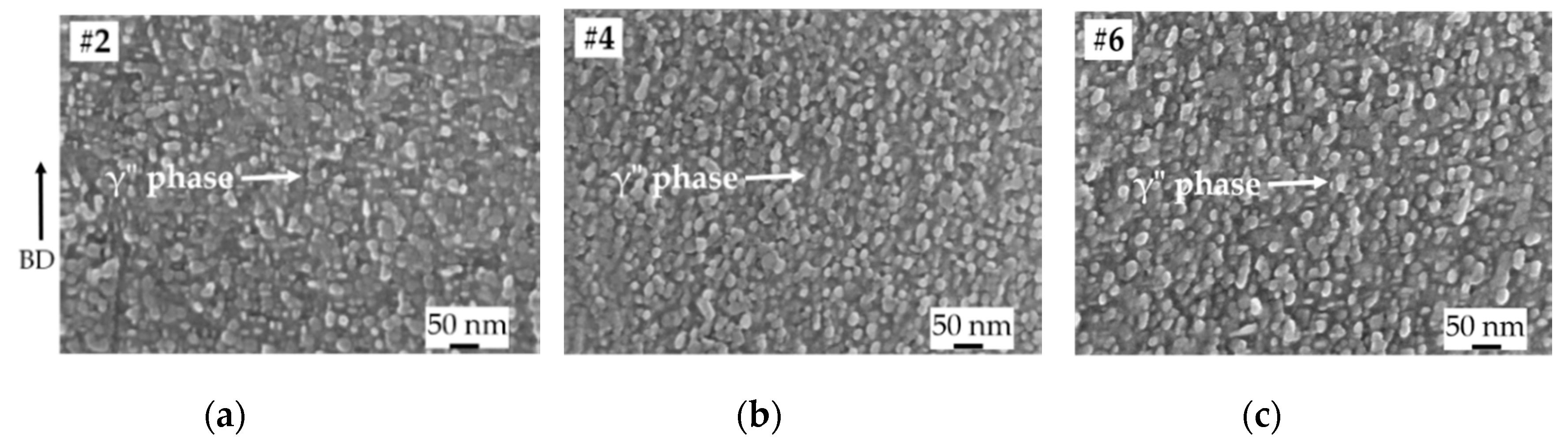 Materials 13 00536 g006 Materials 13 00536 g006