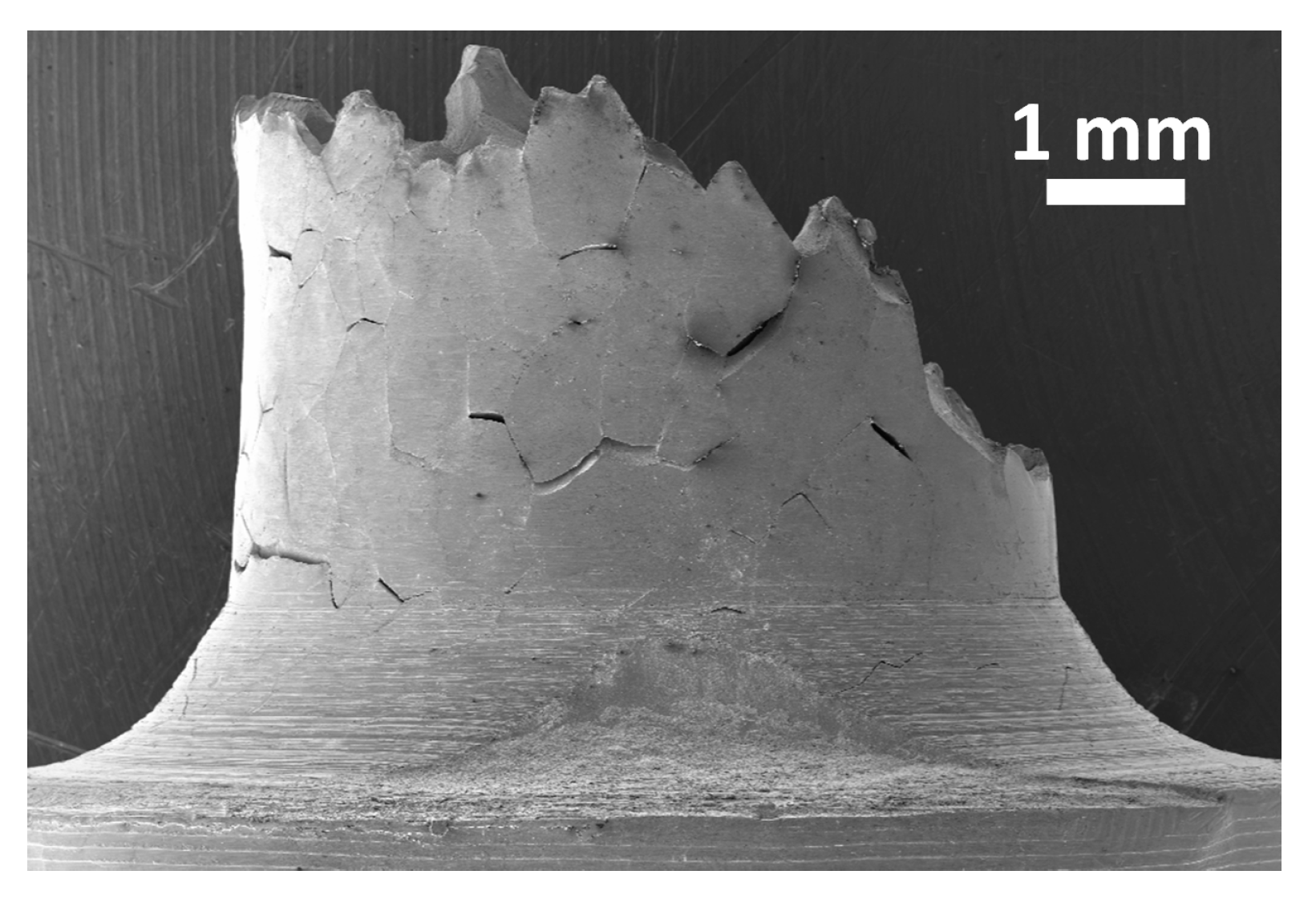 Materials 13 00539 g004