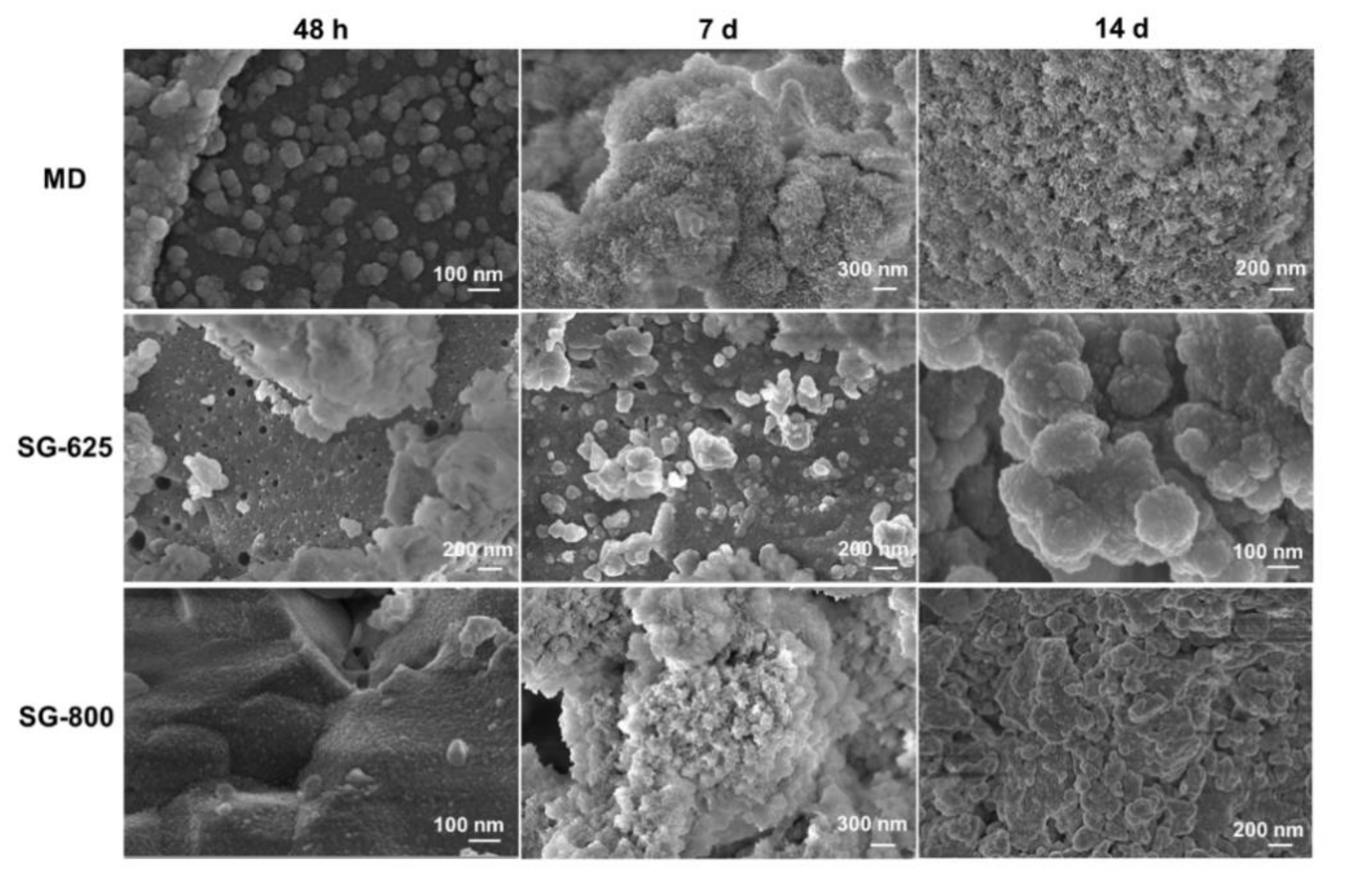 Materials 13 00540 g007