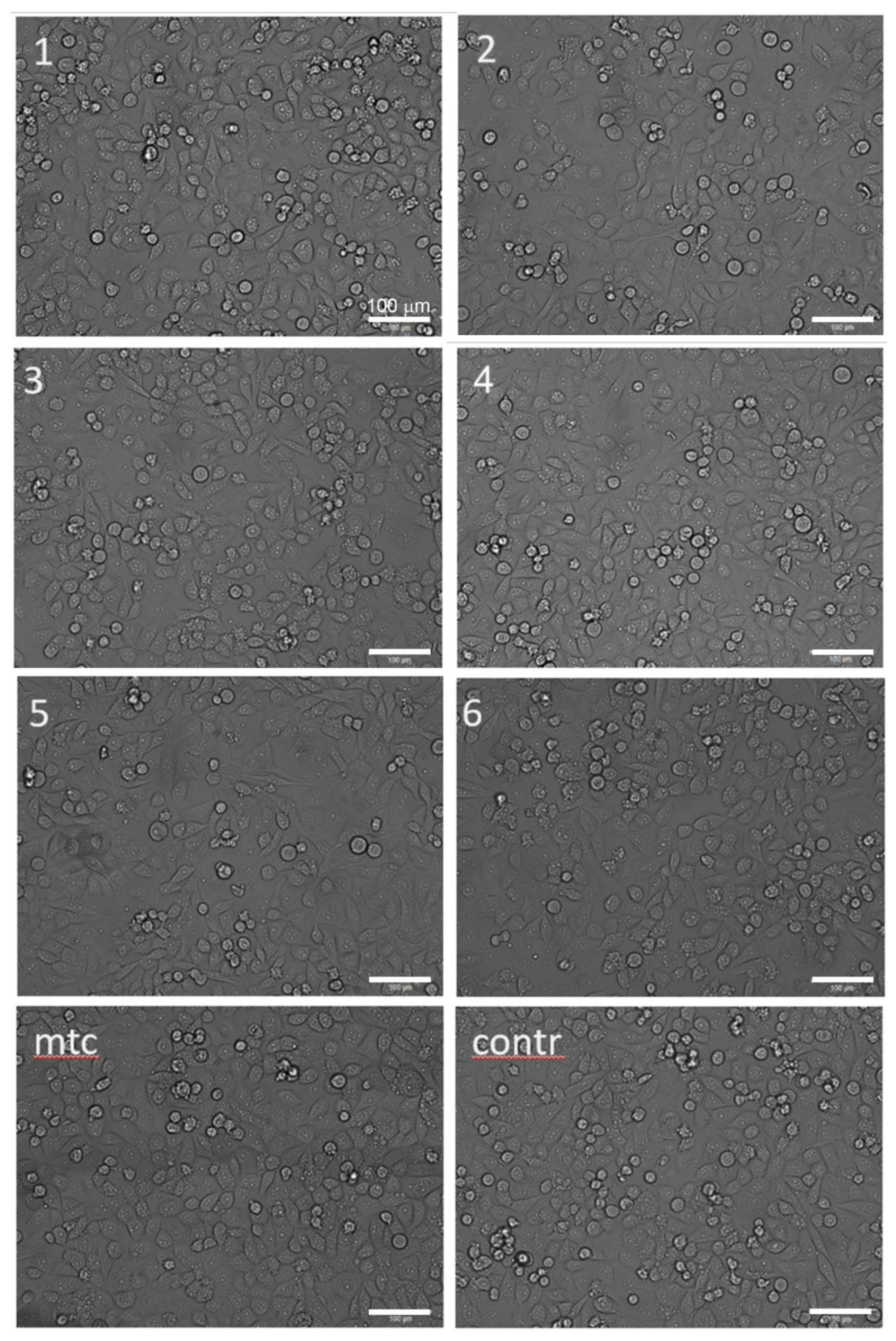 Materials 13 00544 g006