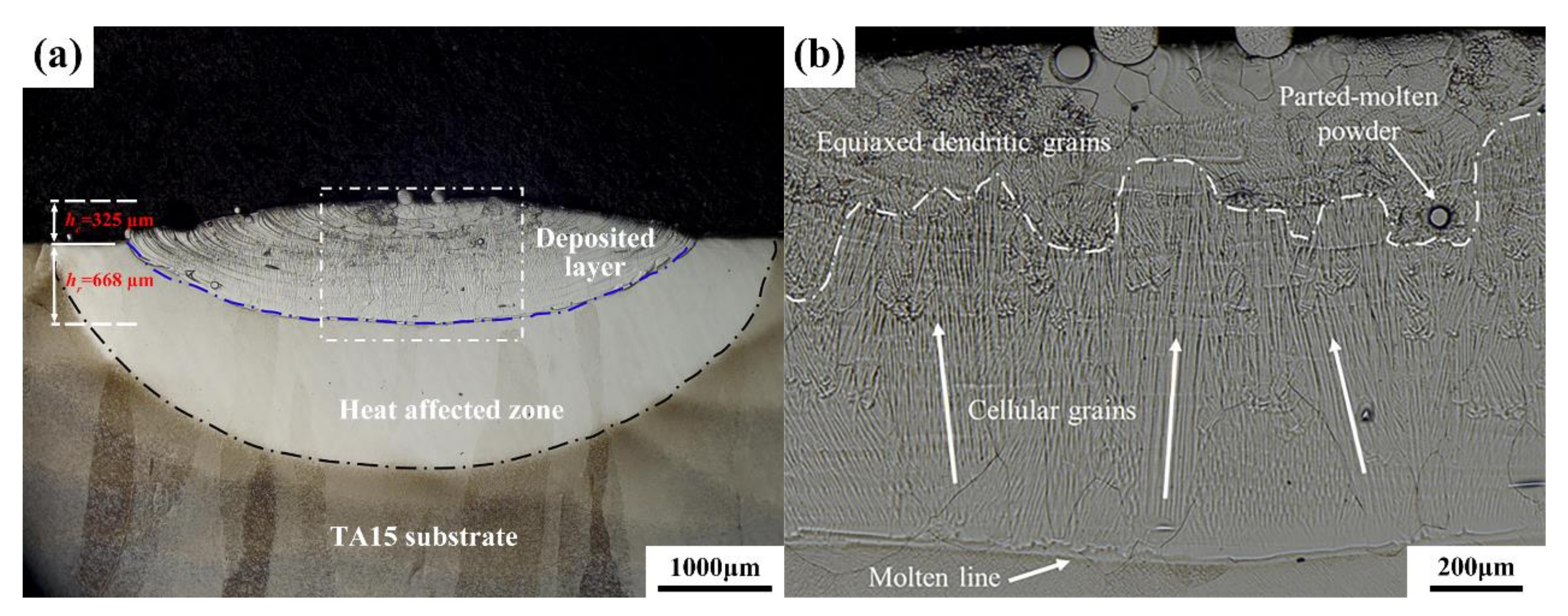 Materials 13 00552 g003 Materials 13 00552 g003