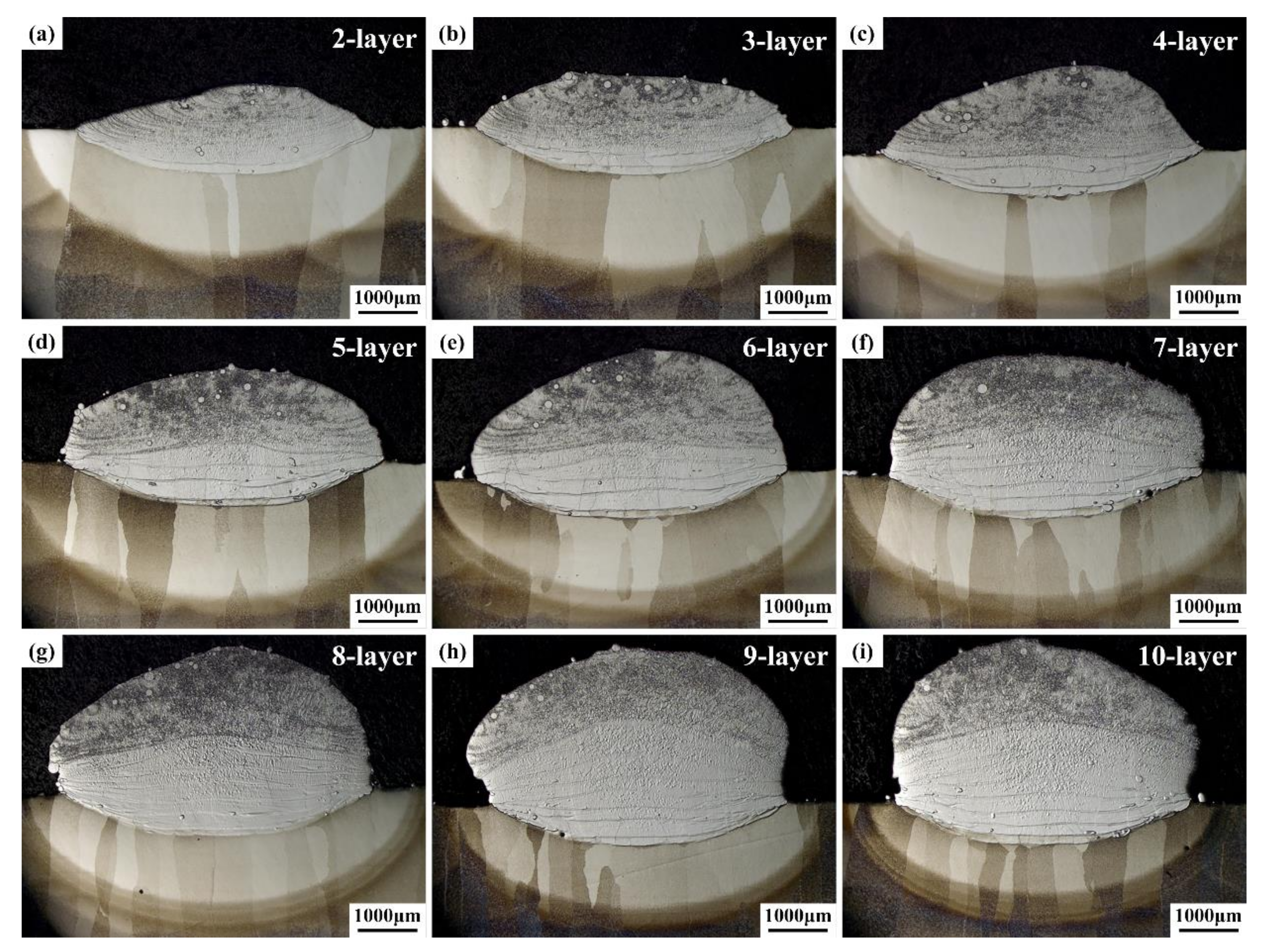 Materials 13 00552 g004 Materials 13 00552 g004